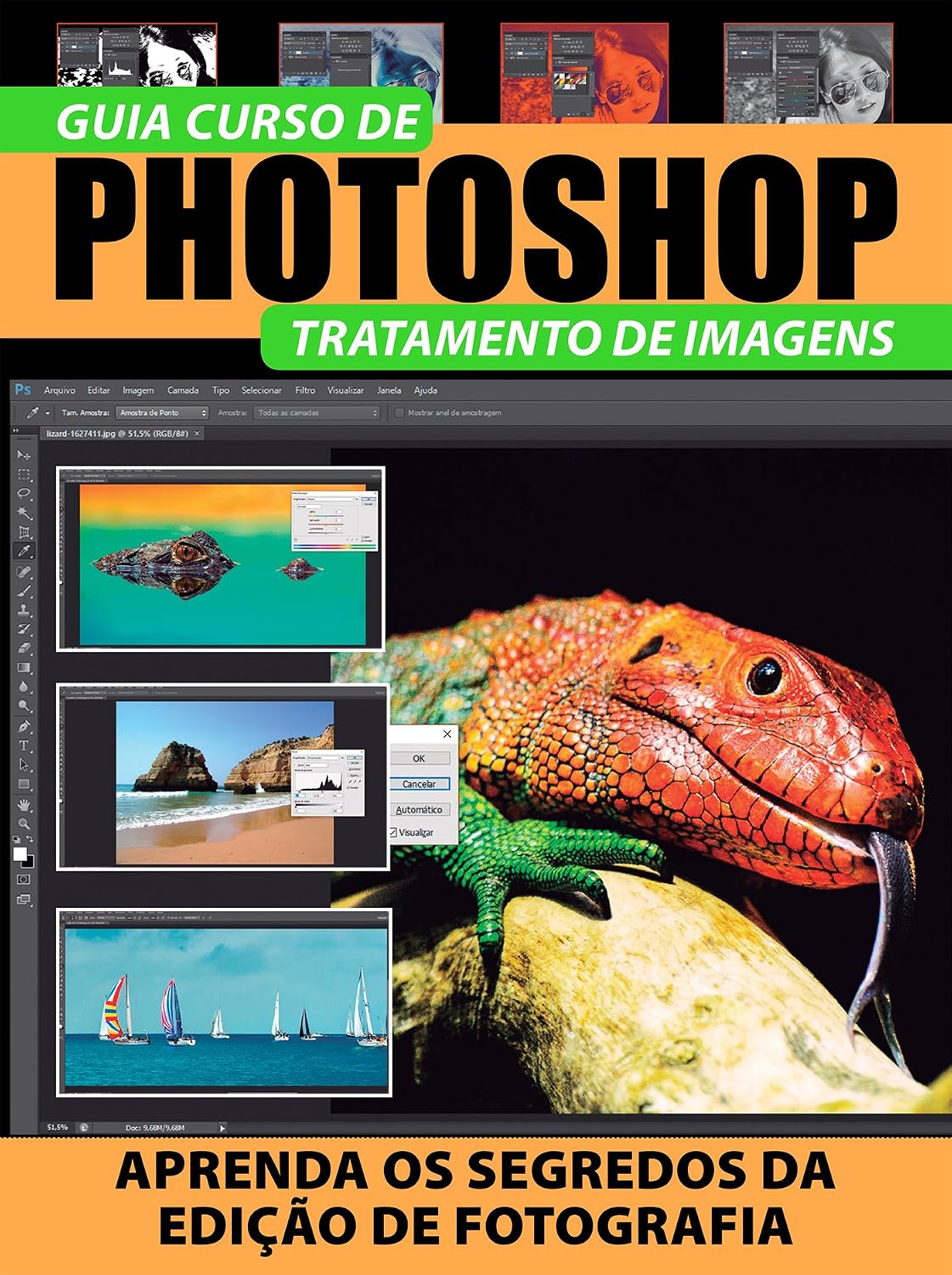 capítulo por capítulo baixar Guia Curso de Photoshop Ed.1: Tratamento de imagem