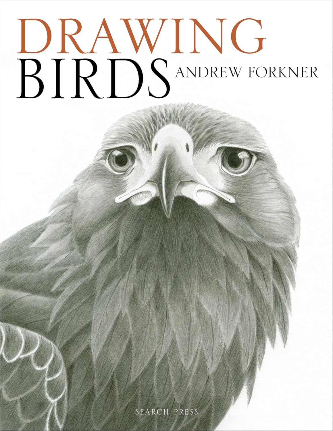 ler totalmente Drawing Birds (English Edition)