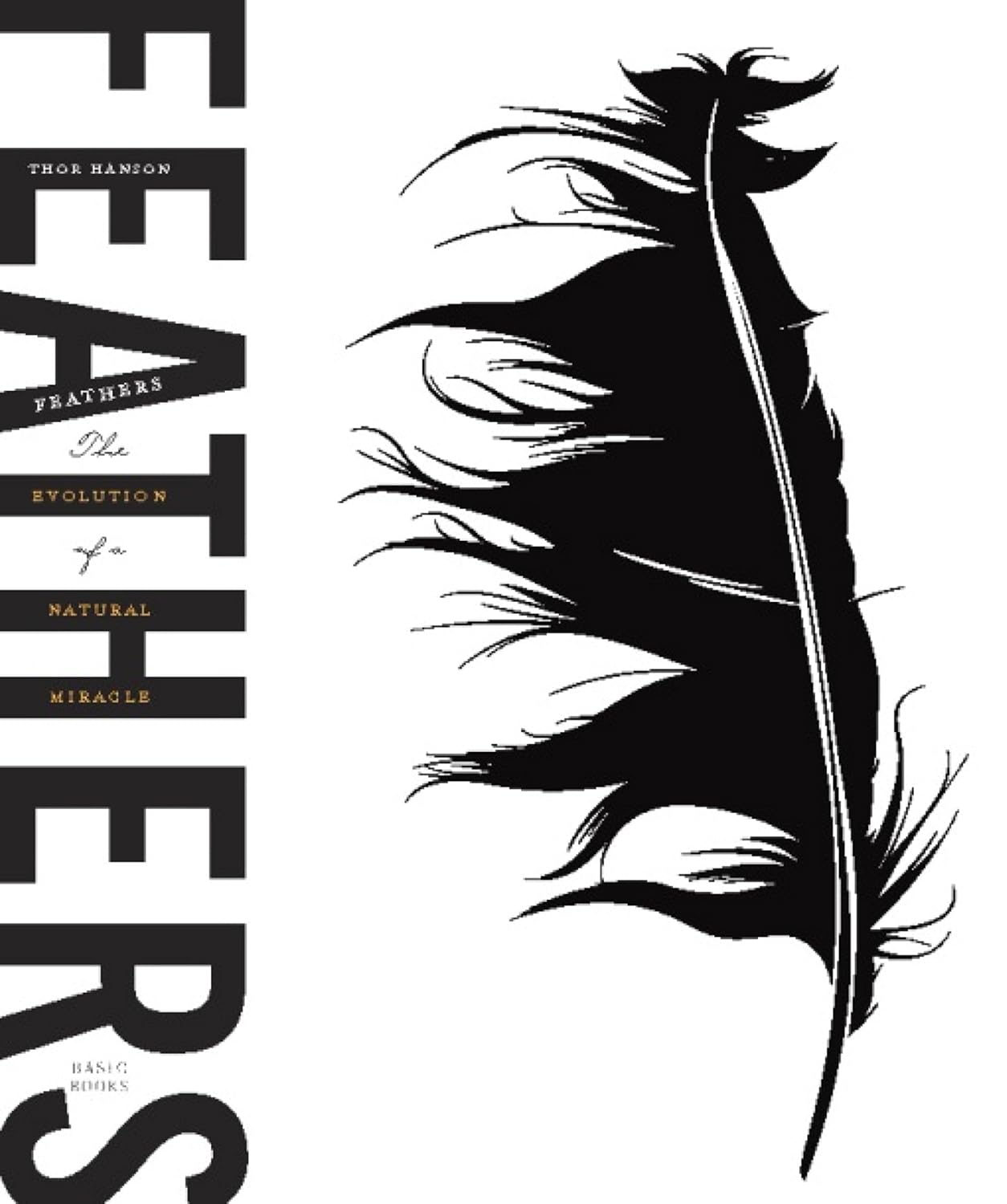 ler totalmente Feathers: The Evolution of a Natural Miracle (English Edition)