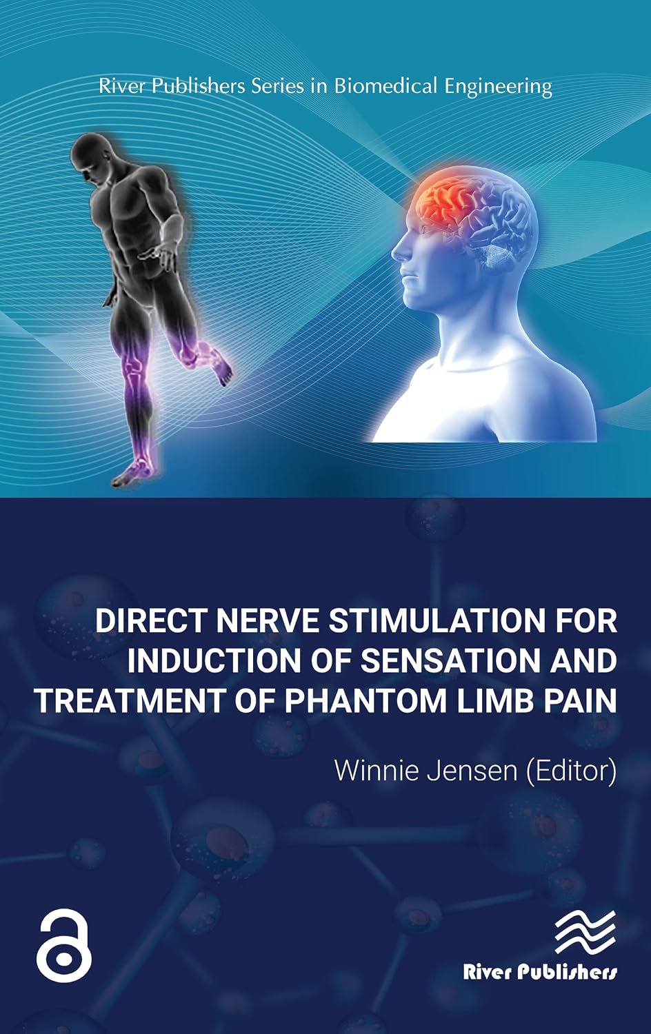 capítulo por capítulo baixar Direct Nerve Stimulation for Induction of Sensation and Treatment of Phantom Limb Pain (English Edition)