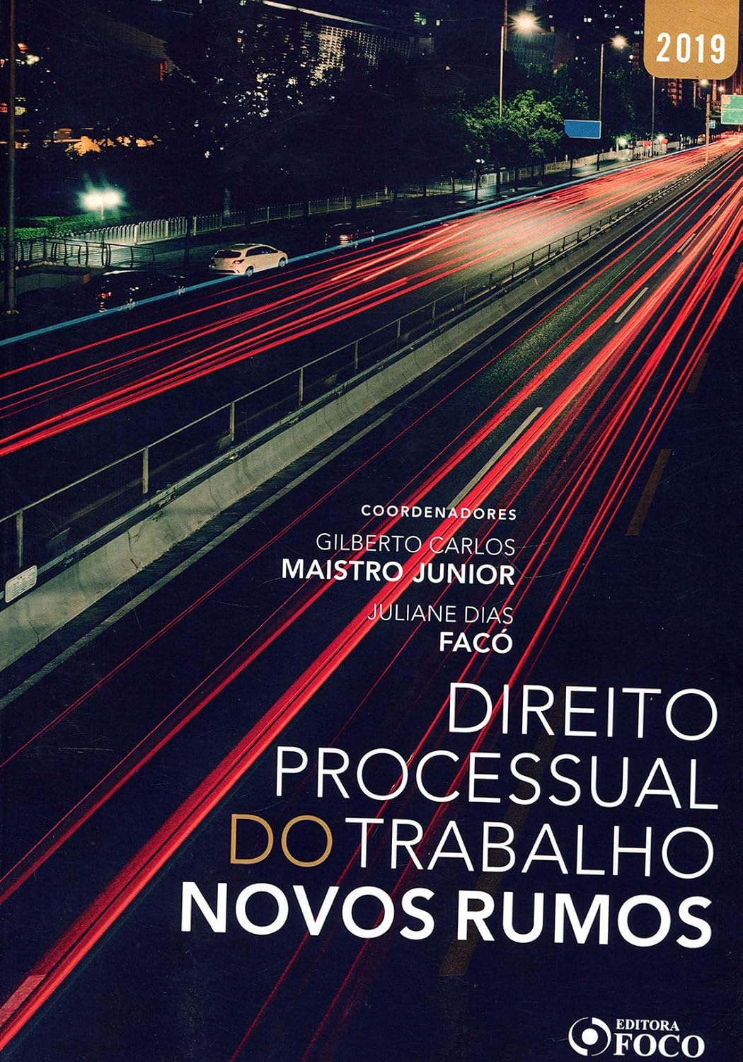 Direito Processual do Trabalho: Novos Rumos baixar livro de graça
