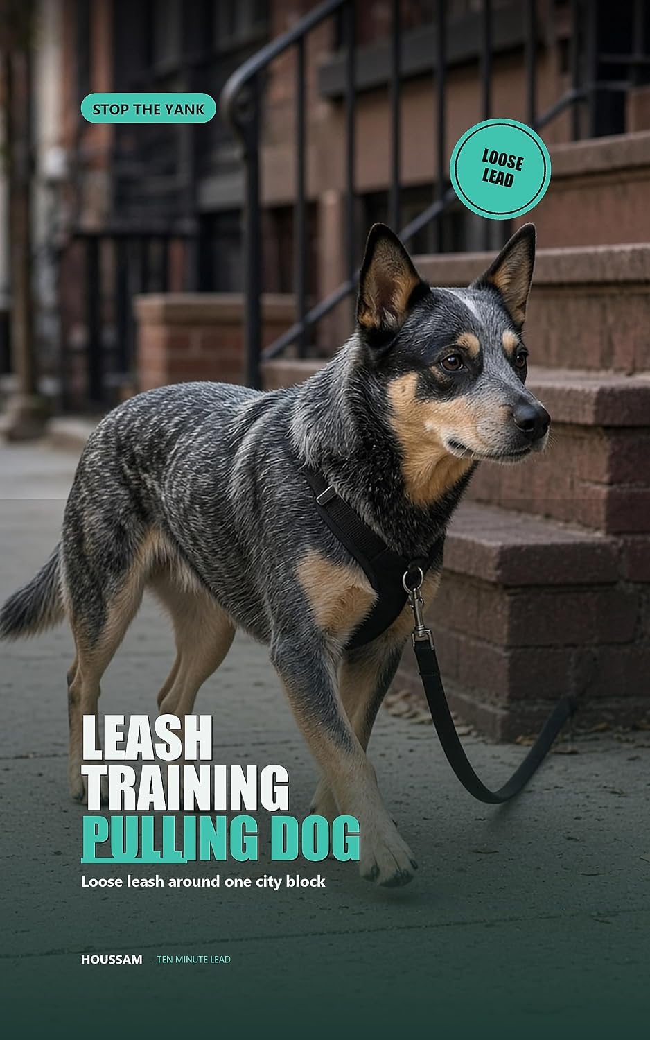 ler totalmente Leash Training a Pulling Dog: A loose-leash walk you can finish around the block (English Edition)