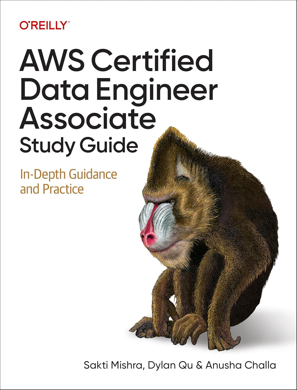 AWS Certified Data Engineer Associate Study Guide: In-Depth Guidance and Practice baixar livro de graça