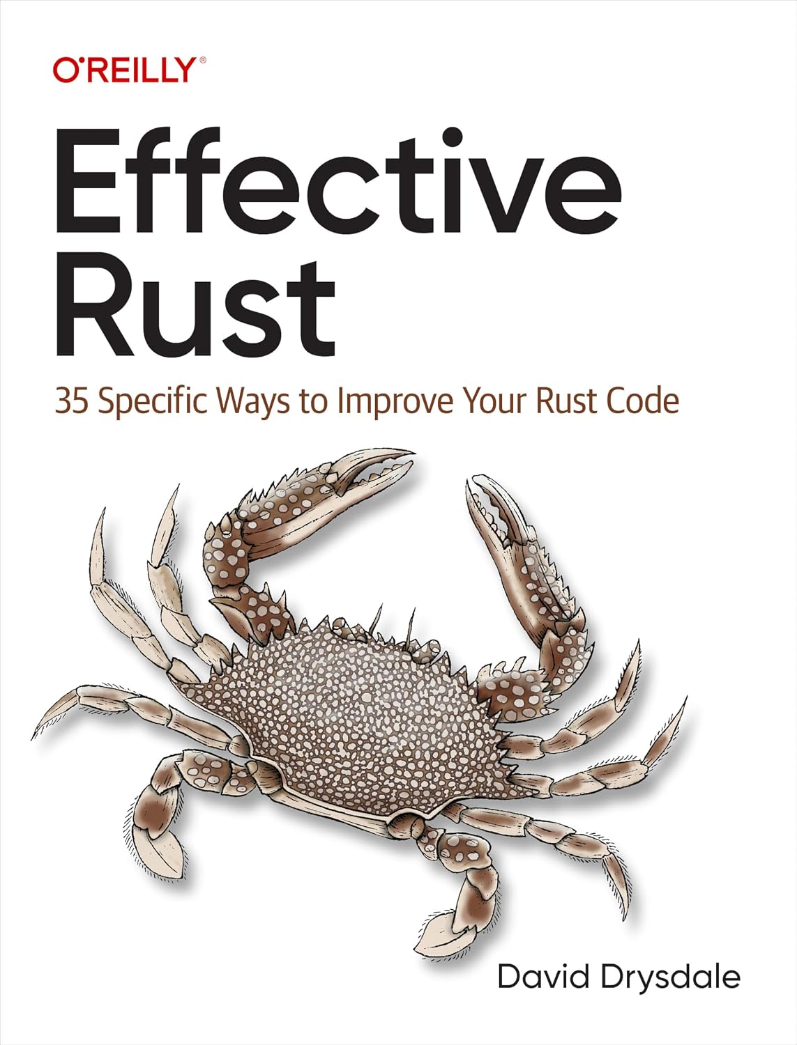 capítulo por capítulo baixar Effective Rust: 35 Specific Ways to Improve Your Rust Code