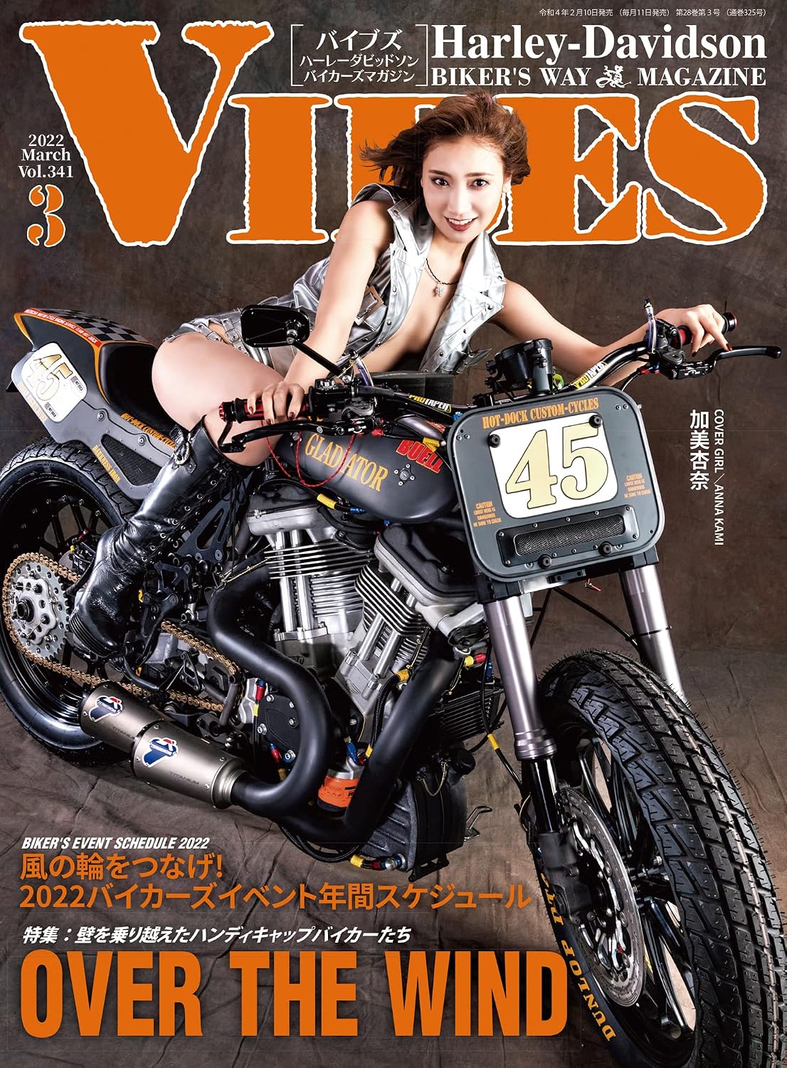 ler totalmente VIBES: volumeThreehundredfortyone (Japanese Edition)