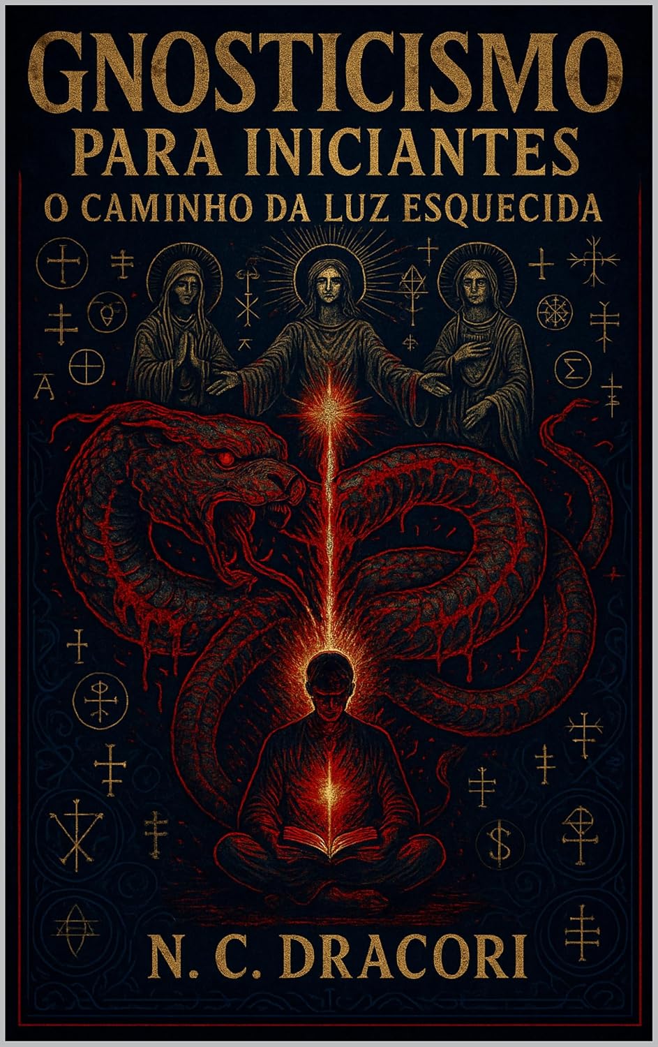 ler totalmente Gnosticismo para Iniciantes: O Caminho da Luz Esquecida