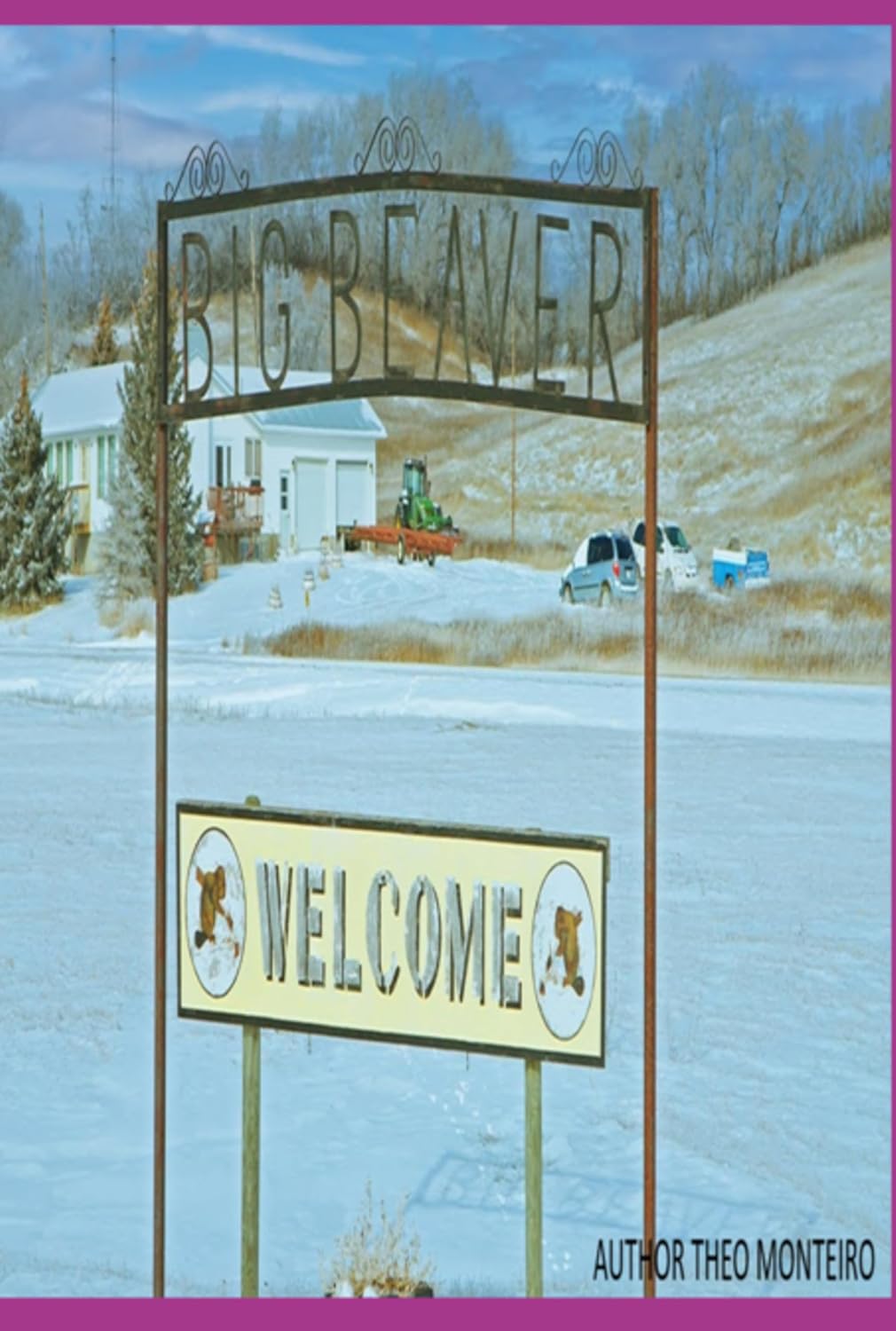 capítulo por capítulo baixar Big Beaver Welcome (English Edition)