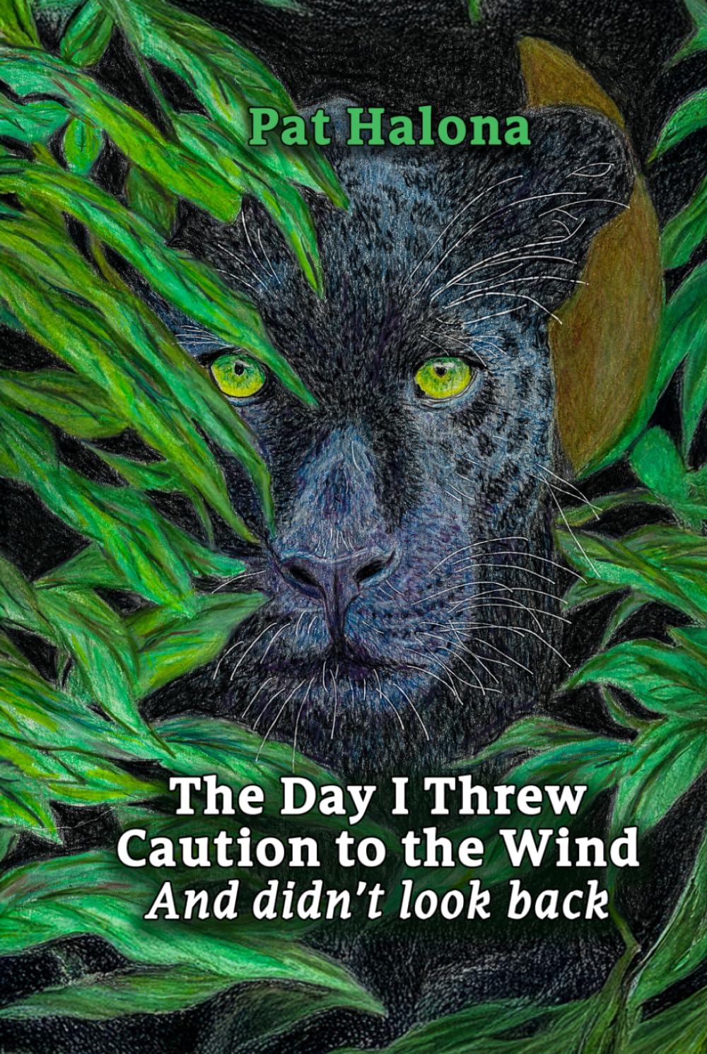 The Day I Threw Caution to the Wind: And didn't look back baixar o livro de graça