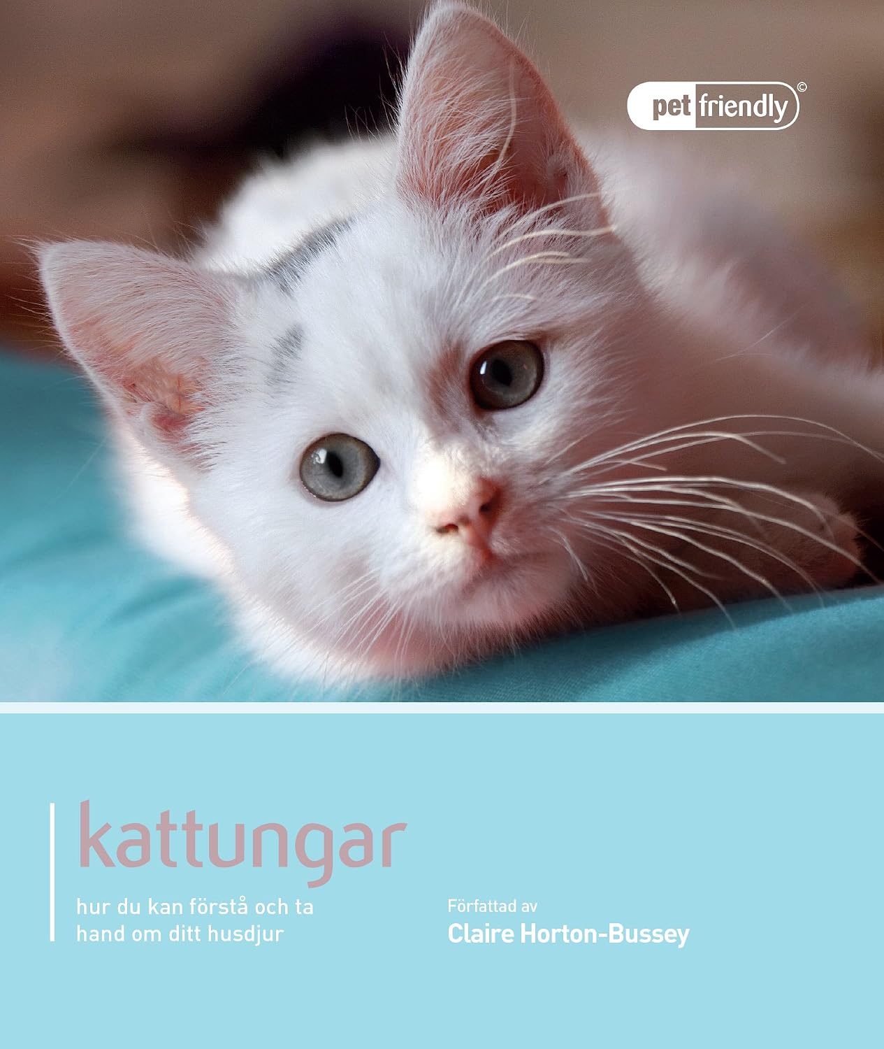 Kattungar: hur du kan förstå och ta hand om ditt husdjur baixar livro de graça