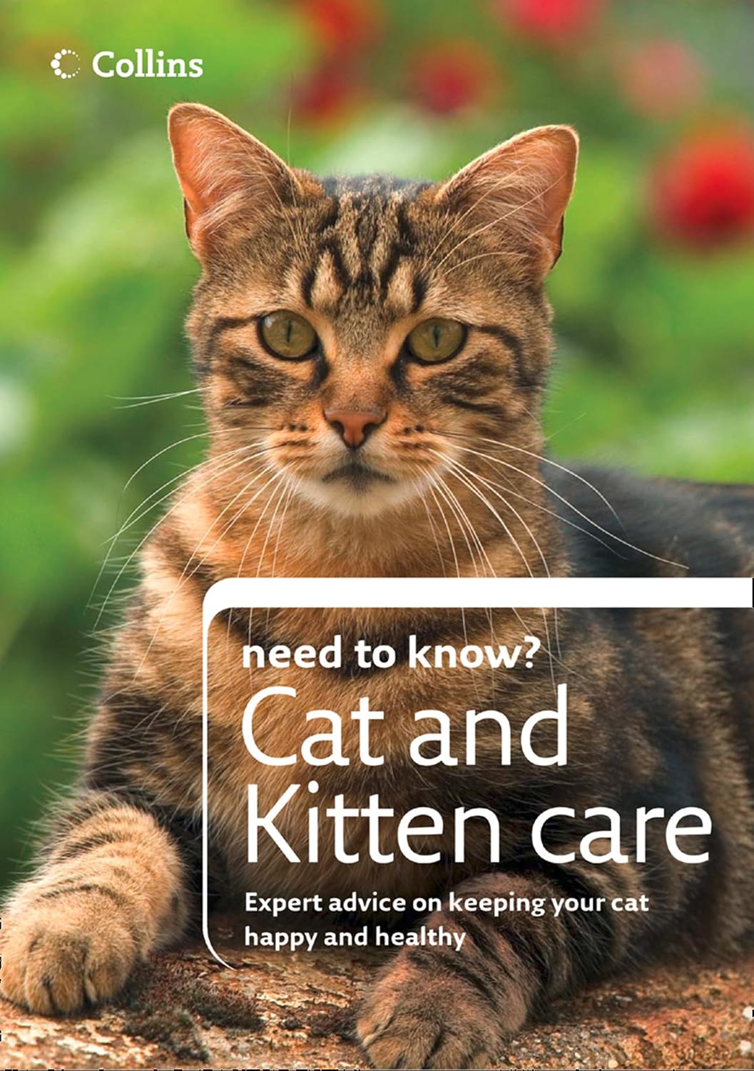 Cat and Kitten Care: An Illustrated Guide to Feline Health, Feeding, and Behaviour (Collins Need to Know?) (English Edition) baixar livro de graça
