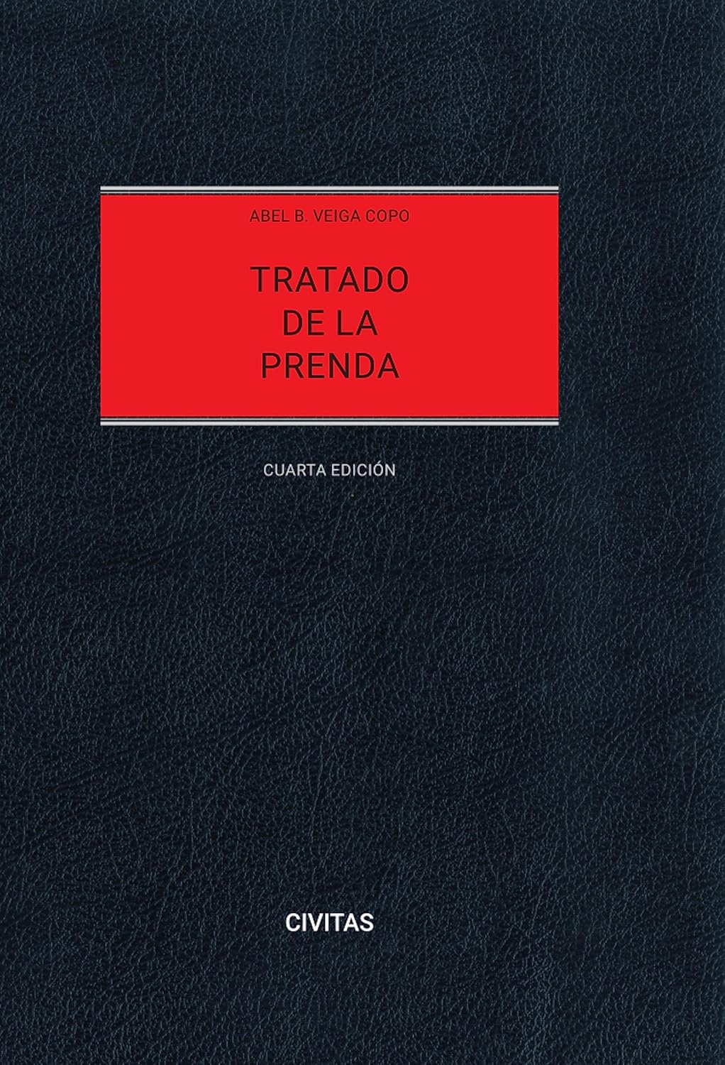 Tratado de la Prenda (4.ª Edición) (Estudios y Comentarios de Civitas) (Spanish Edition) baixar livro de graça
