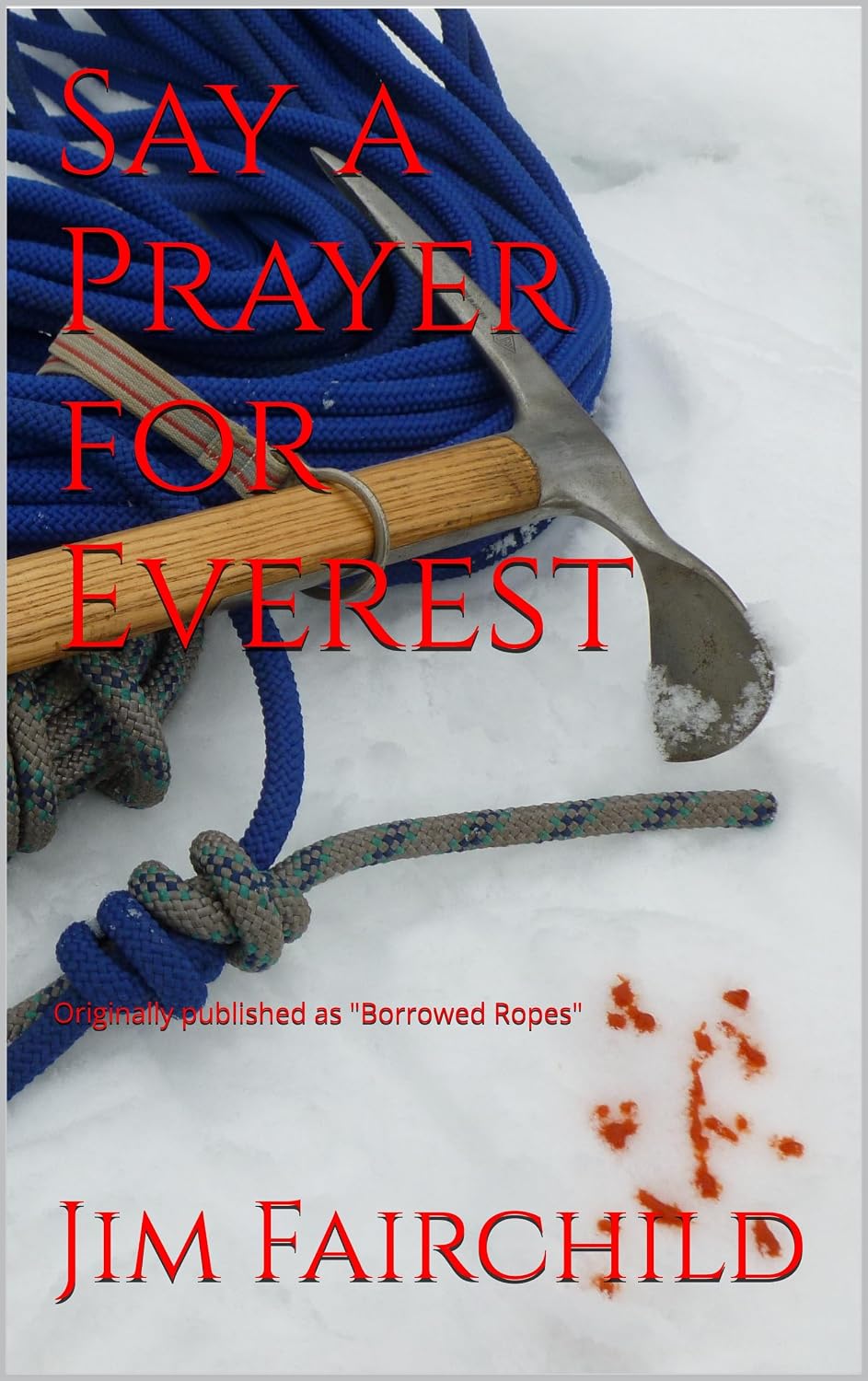 ler totalmente Say a Prayer for Everest (English Edition)