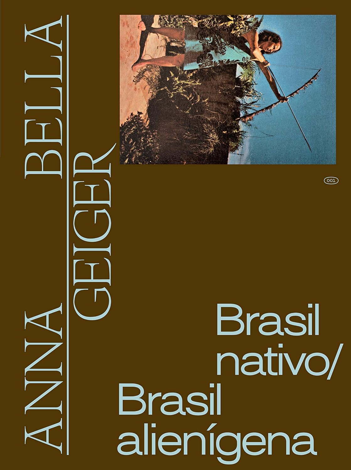 Anna Bella Geiger: Brasil nativo/Brasil alienígena baixar livro de graça