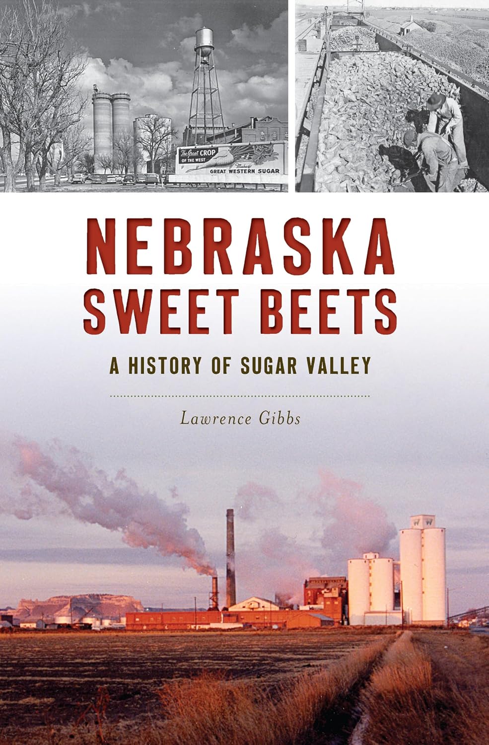 Nebraska Sweet Beets: A History of Sugar Valley (English Edition) baixar livro de graça