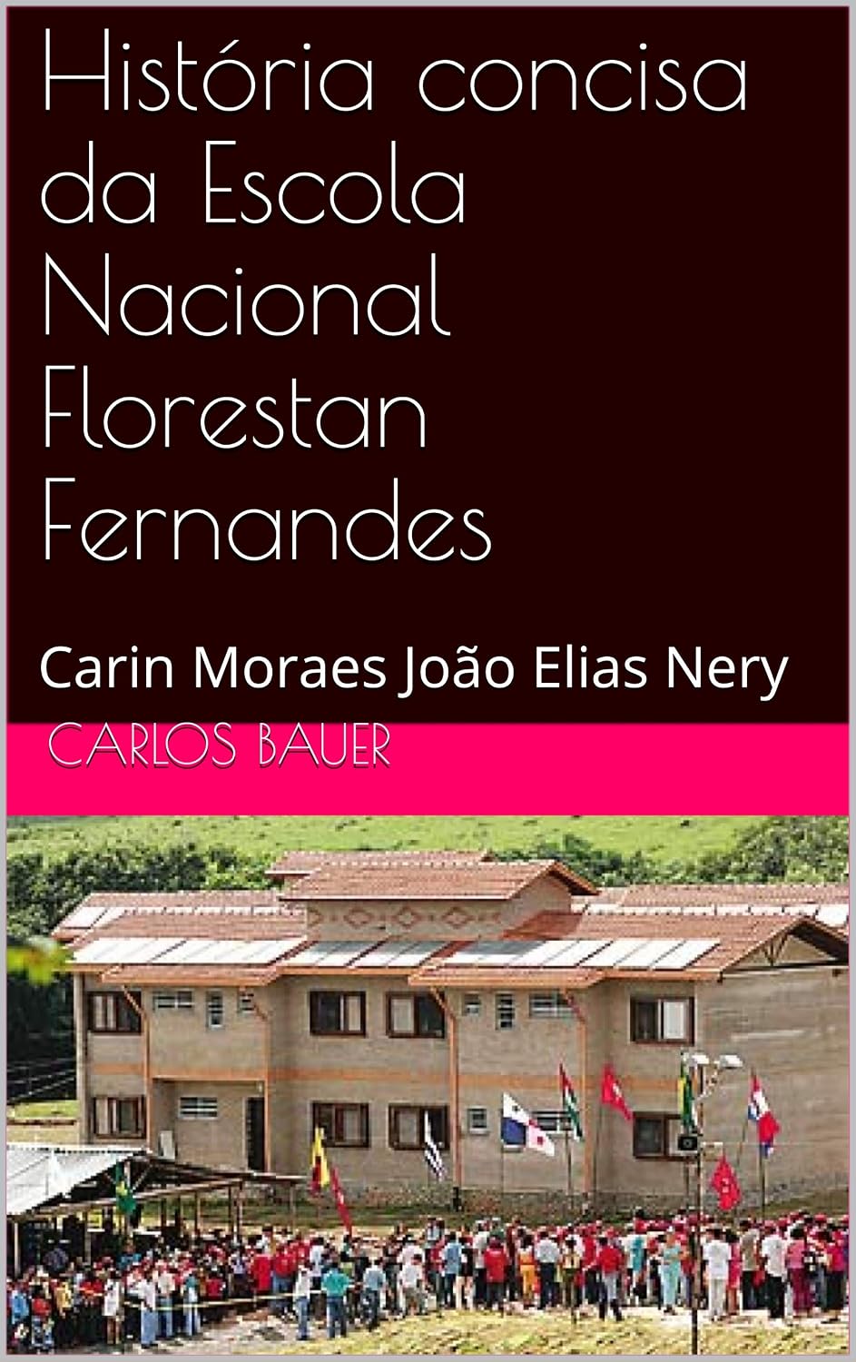 História concisa da Escola Nacional Florestan Fernandes: Carin Moraes João Elias Nery (Coleção Escritos históricos educacionais Livro 5) baixar o livro de graça