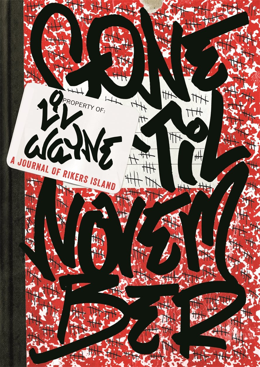 Gone 'Til November: A Journal of Rikers Island baixar o livro de graça