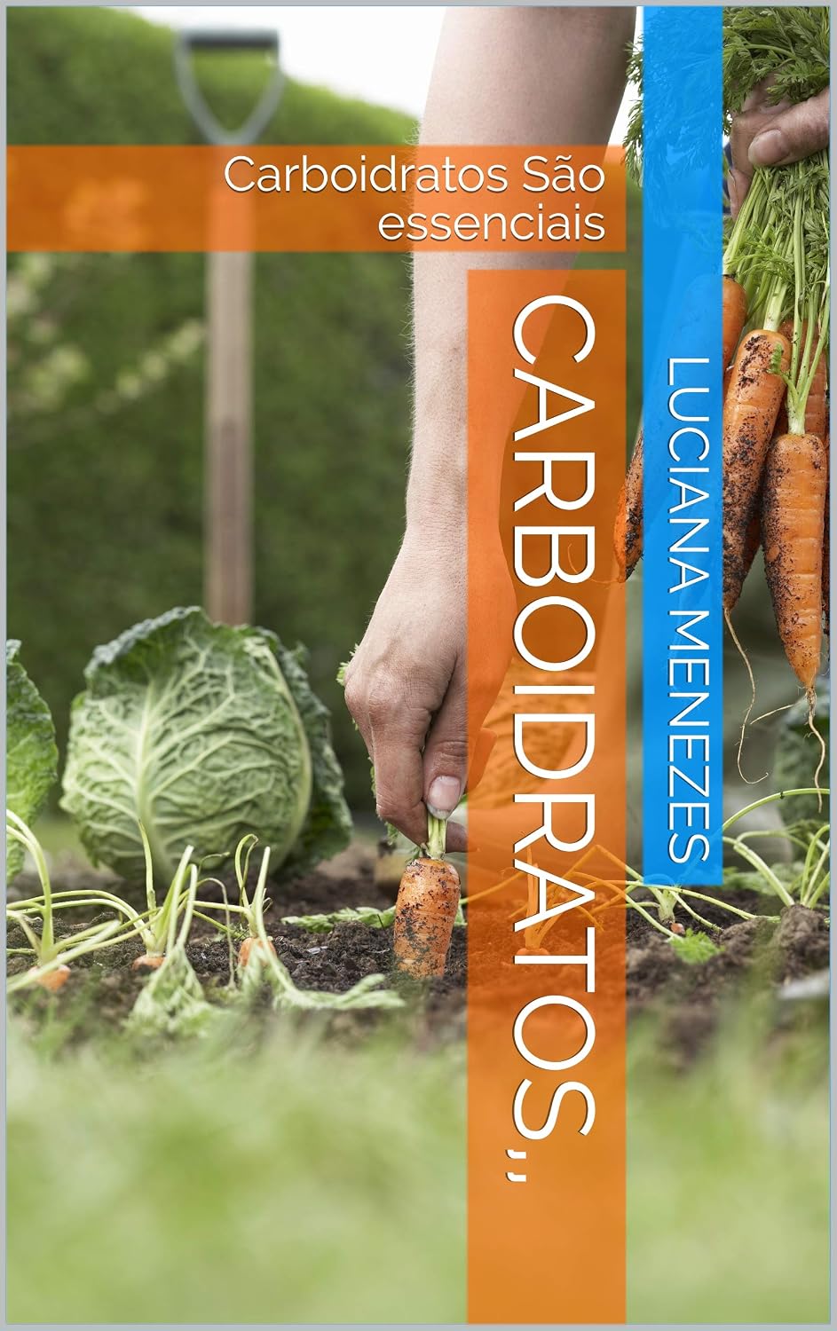 Carboidratos,,: Carboidratos São essenciais baixar livro de graça