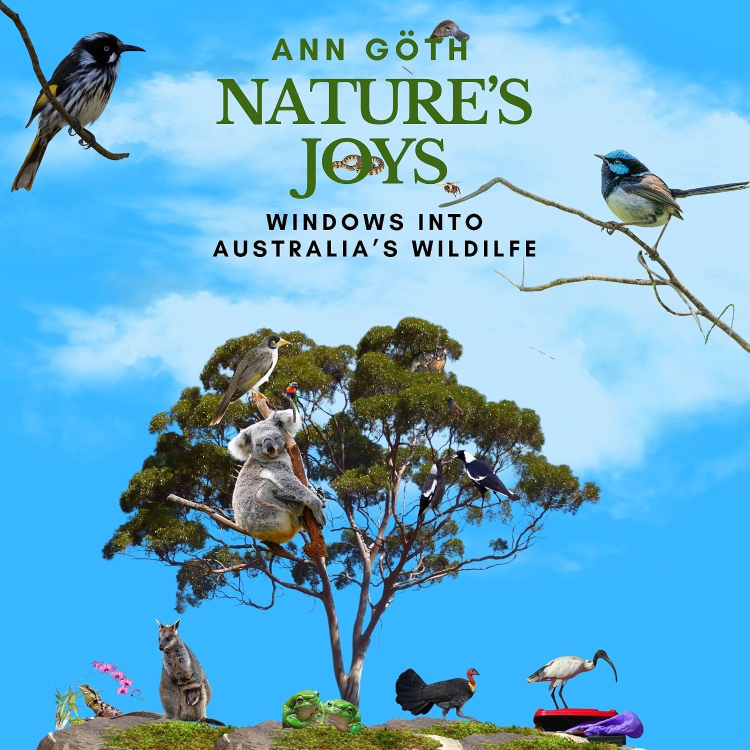 ler totalmente Noticing Nature: Windows into Australia's Wildlife (English Edition)