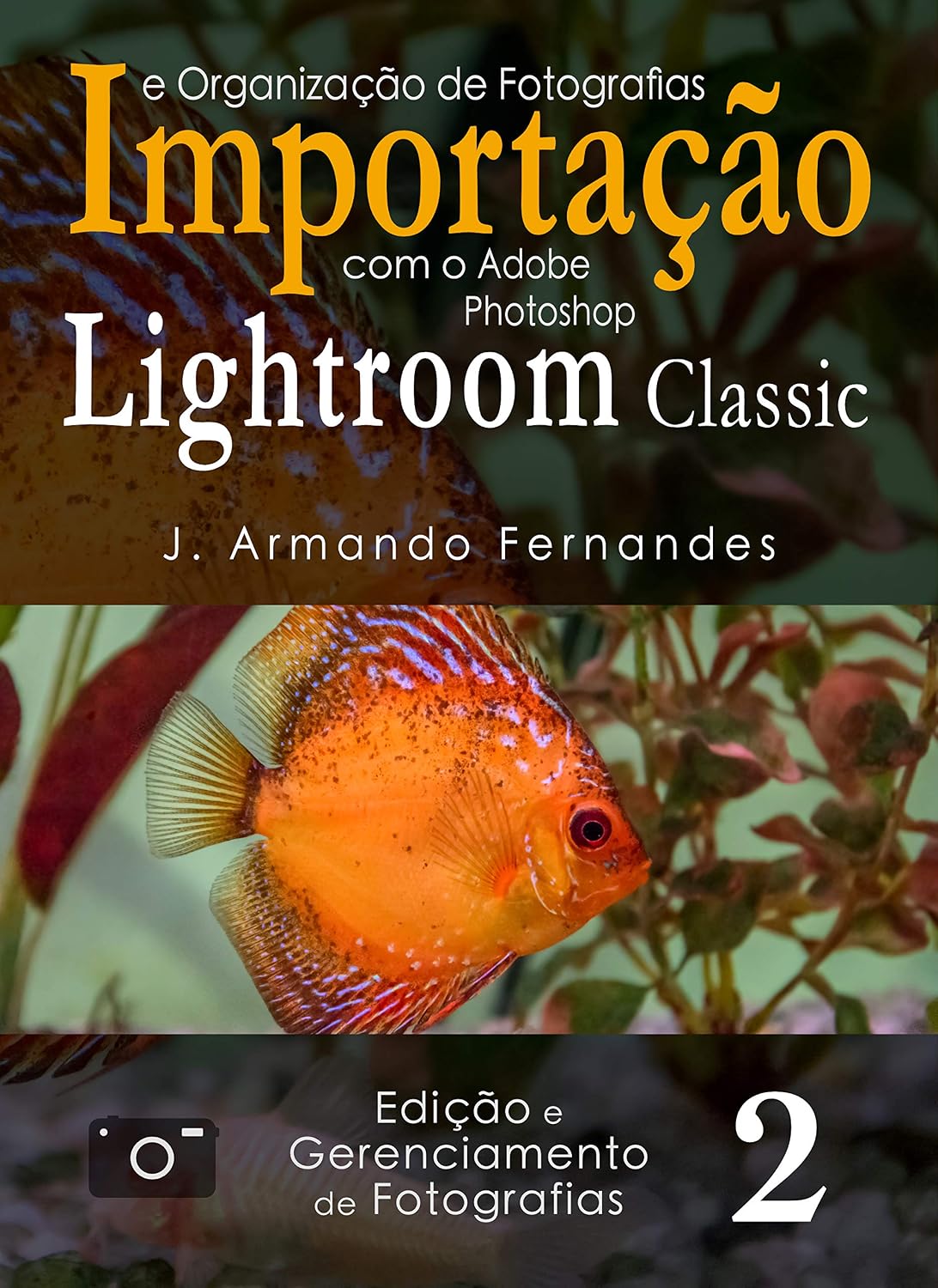 Importação e Organização de Fotografias: com o aplicativo Adobe Photoshop Lightroom Classic CC (Edição e Gerenciamento de Fotografias Livro 2) baixar o livro de graça