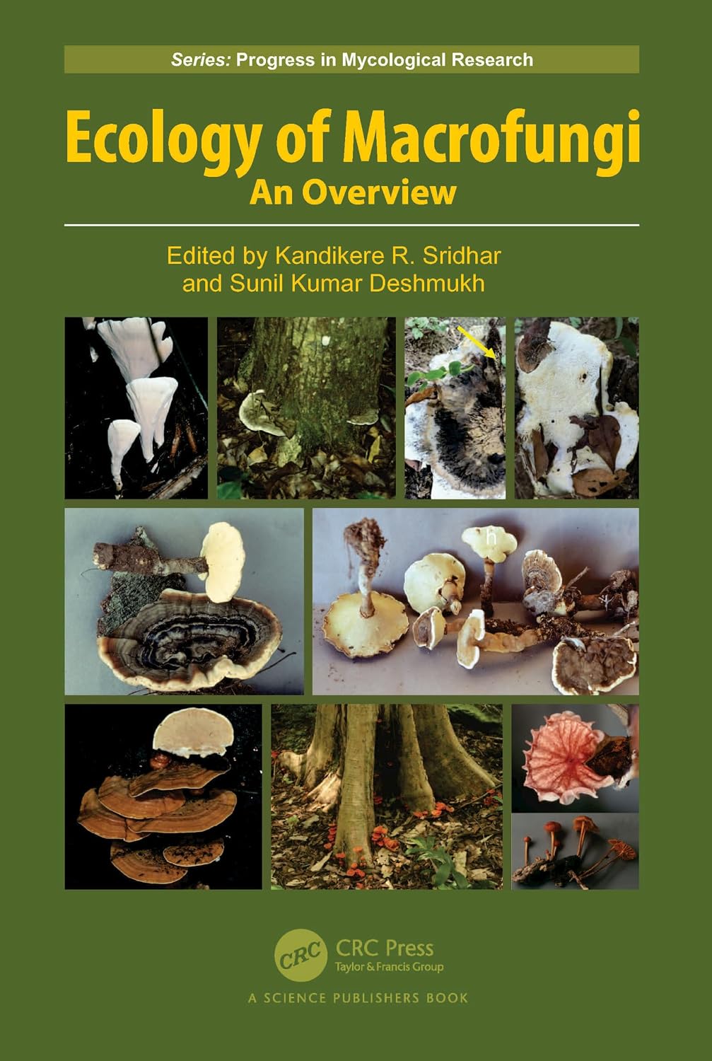 ler totalmente Ecology of Macrofungi: An Overview (Progress in Mycological Research) (English Edition)