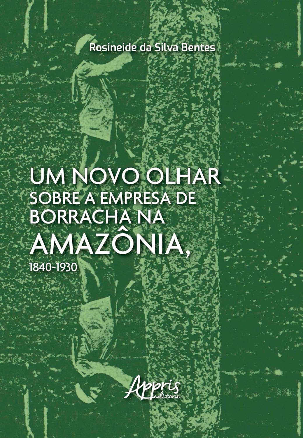 capítulo por capítulo baixar Um Novo Olhar Sobre a Empresa de Borracha na Amazônia, 1840-1930