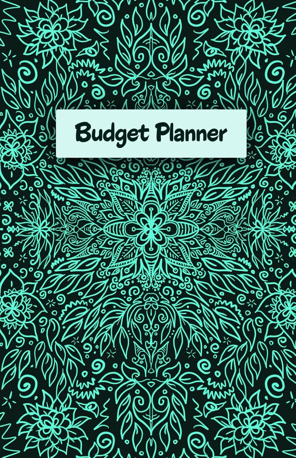 Budget Planner – 100 Page Financial Organizer | Expense Tracker, Bill & Debt Tracker, Savings Log | Monthly Calendar & Notes | Paperback 5.5 x 8.5 inch baixar livro de graça