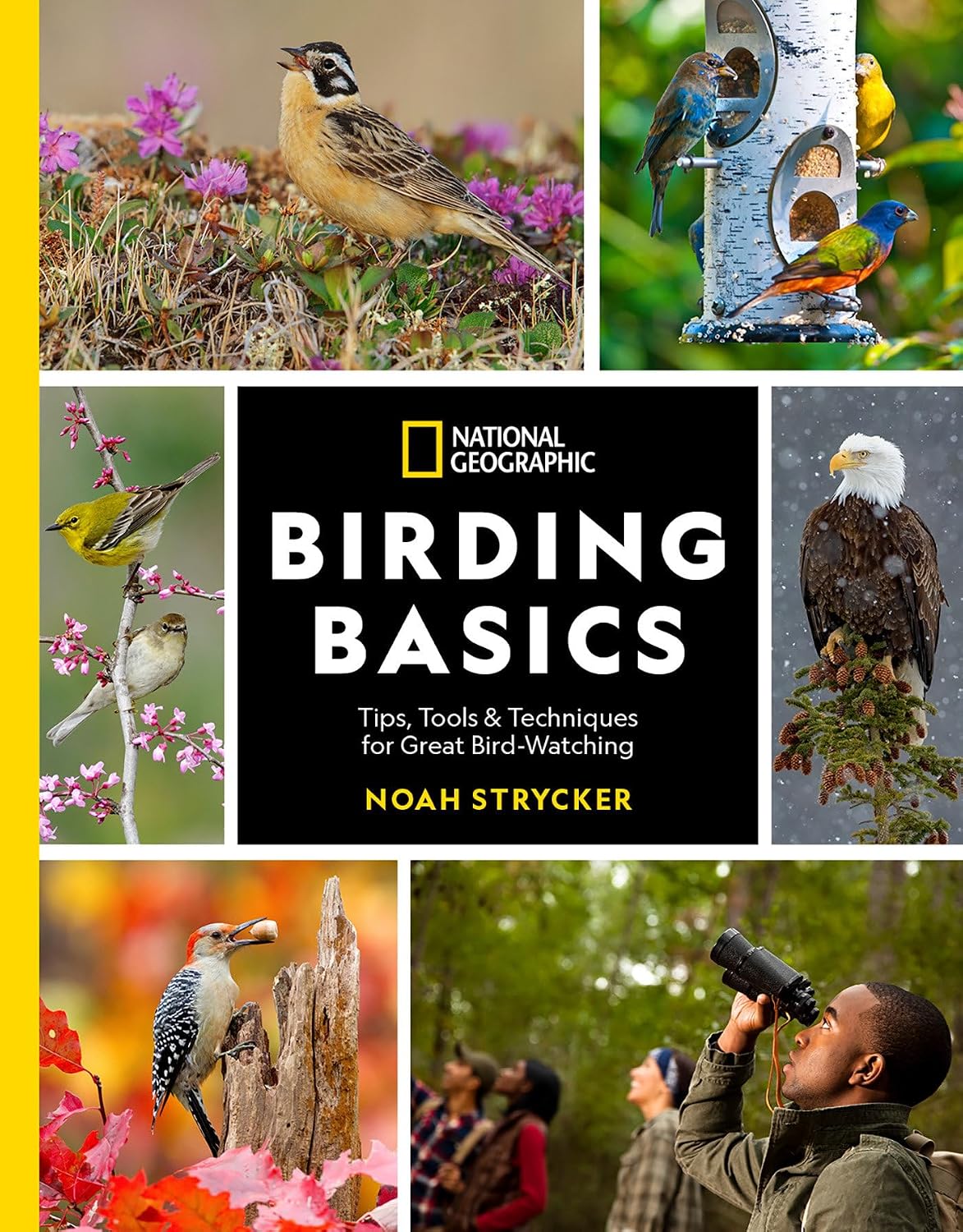 National Geographic Birding Basics: Tips, Tools, and Techniques for Great Bird-Watching baixar o livro de graça