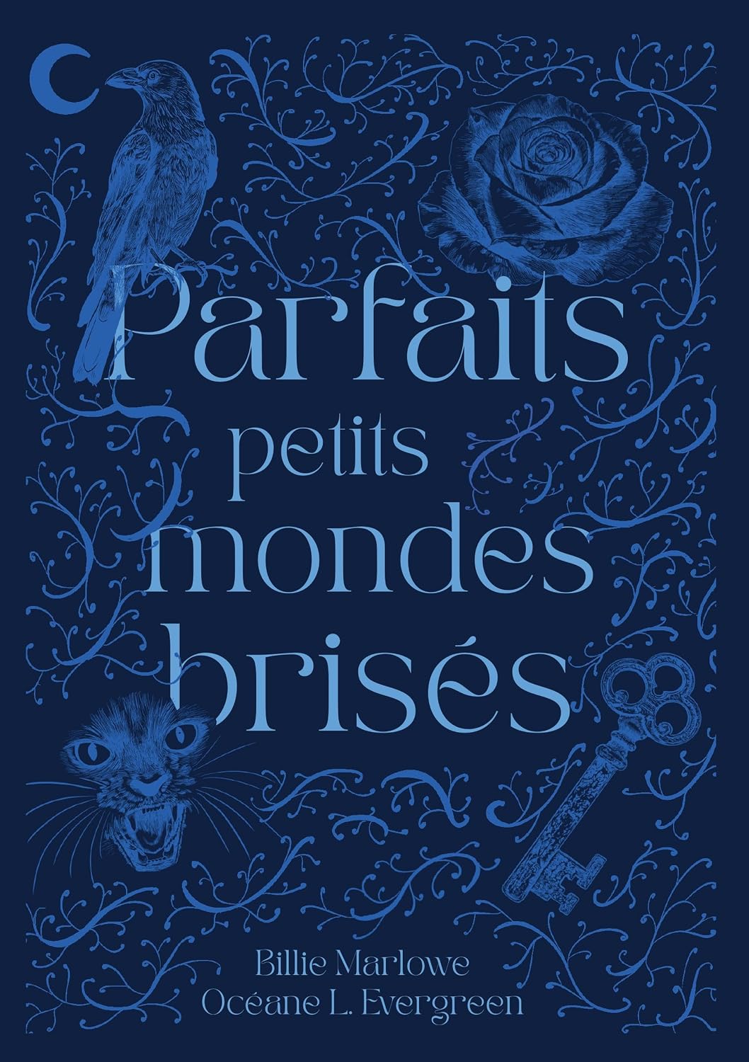 capítulo por capítulo baixar Parfaits petits mondes brisés: Recueil de nouvelles d'horreur et de fantastique (French Edition)