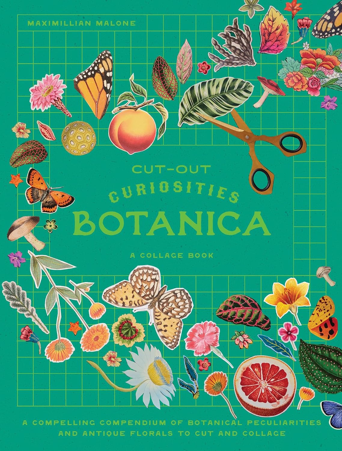 Cut-Out Curiosities: Botanica: A Collage Book: A Compelling Compendium of Botanical Peculiarities and Antique Florals to Cut and Collage baixar o livro de graça