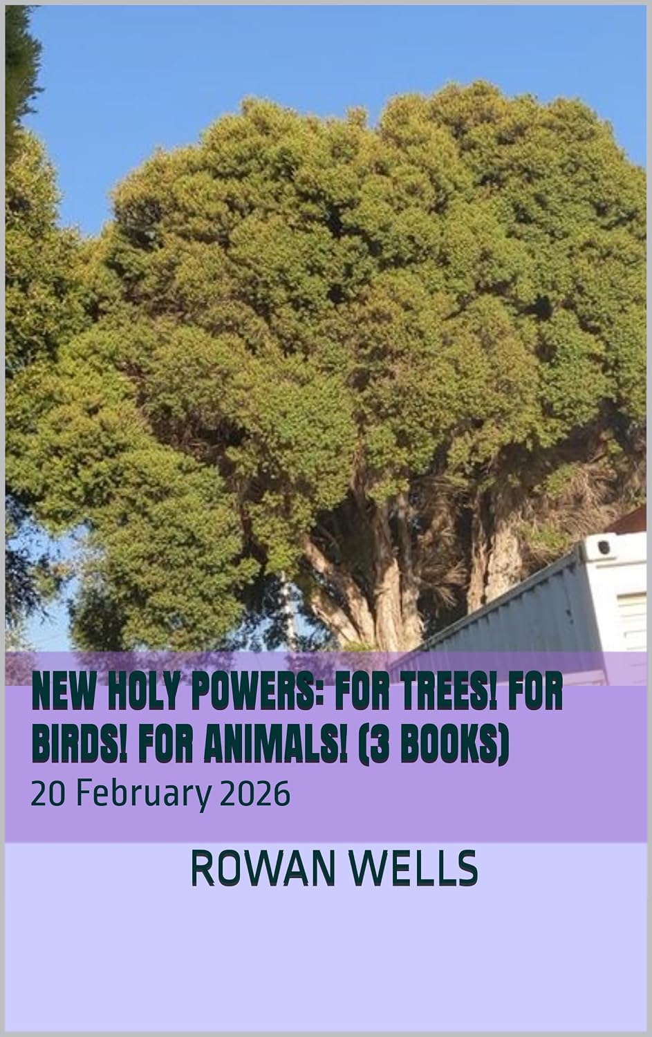 New Holy Powers: For Trees! For Birds! For Animals! (3 Books): 20 February 2026 (English Edition) baixar o livro de graça