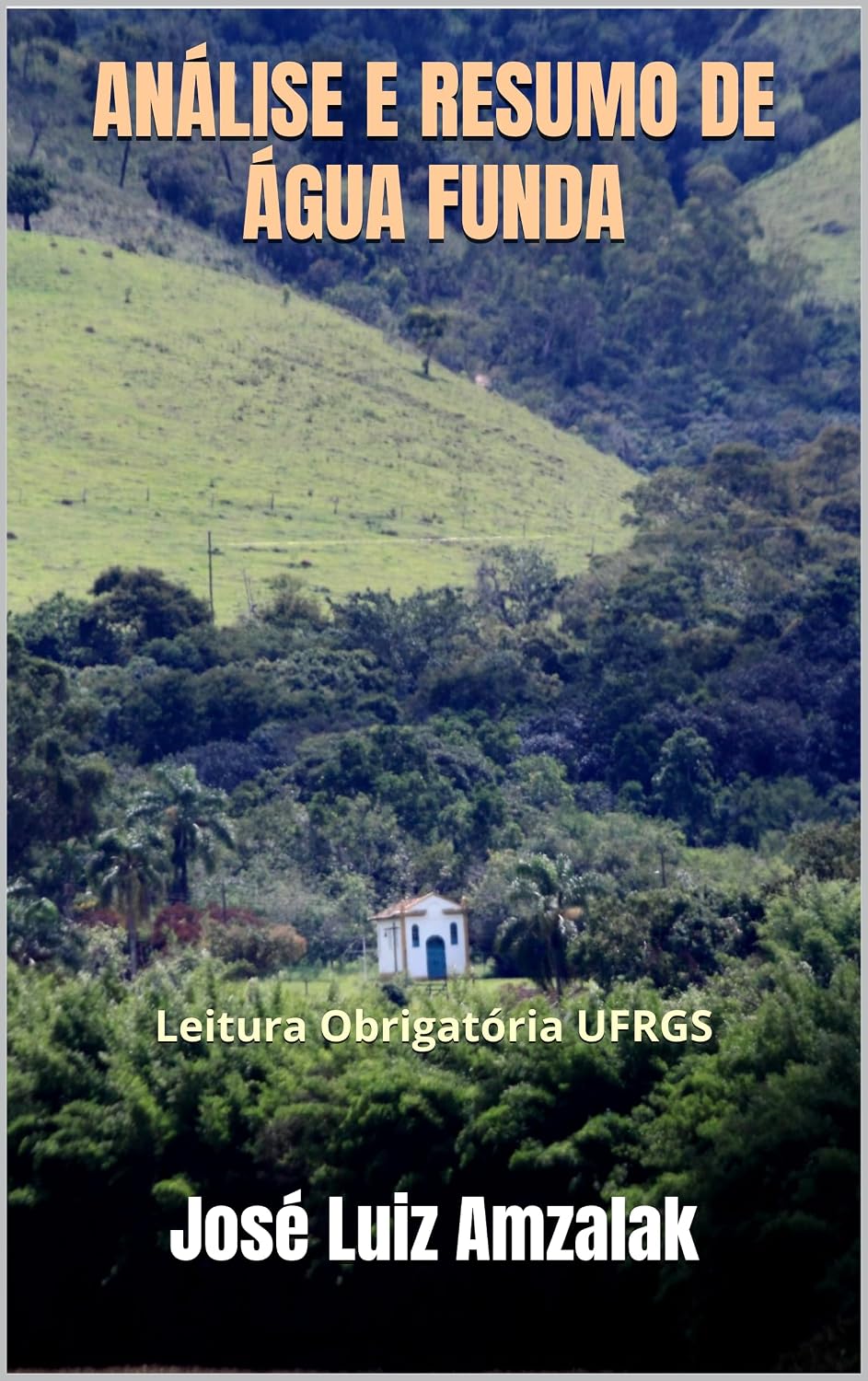 ANÁLISE E RESUMO DE ÁGUA FUNDA: Leitura Obrigatória UFRGS baixar livro de graça