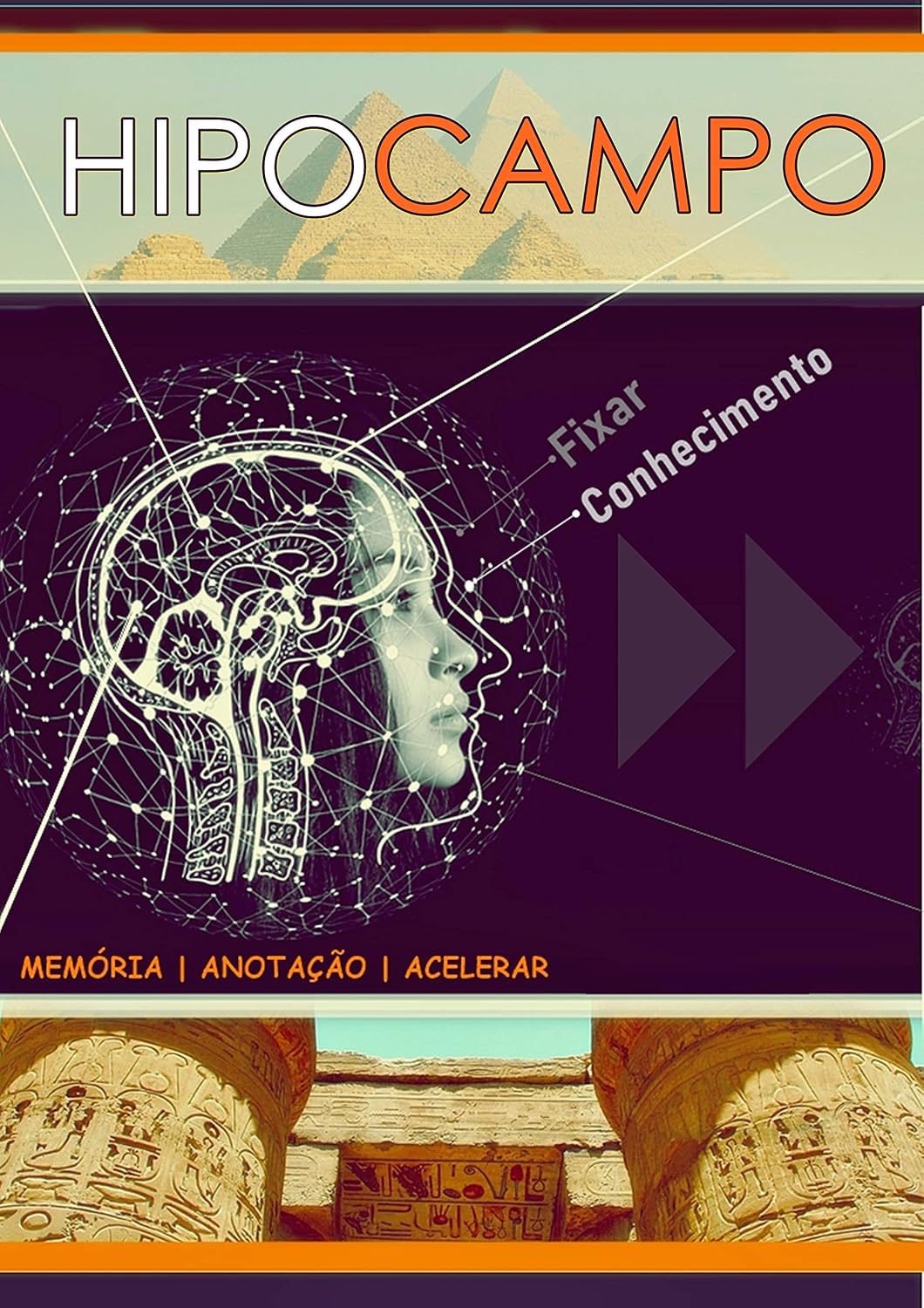 Hipocampo (Print Replica): memoria, anotação e acelerar baixar livro de graça