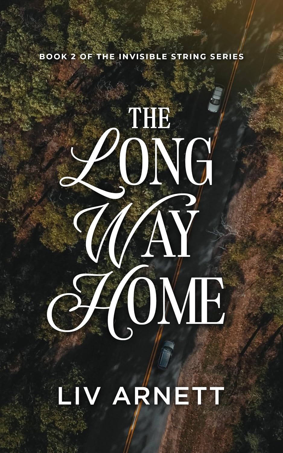 The Long Way Home (The Invisible String Series Book 2) (English Edition) baixar livro de graça