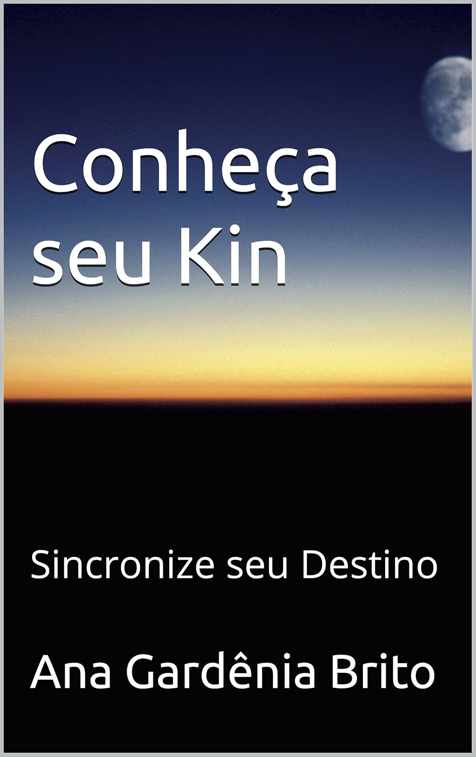 Conheça seu Kin: Sincronize seu Destino (Sincronização Galáctica Livro 1) baixar o livro de graça