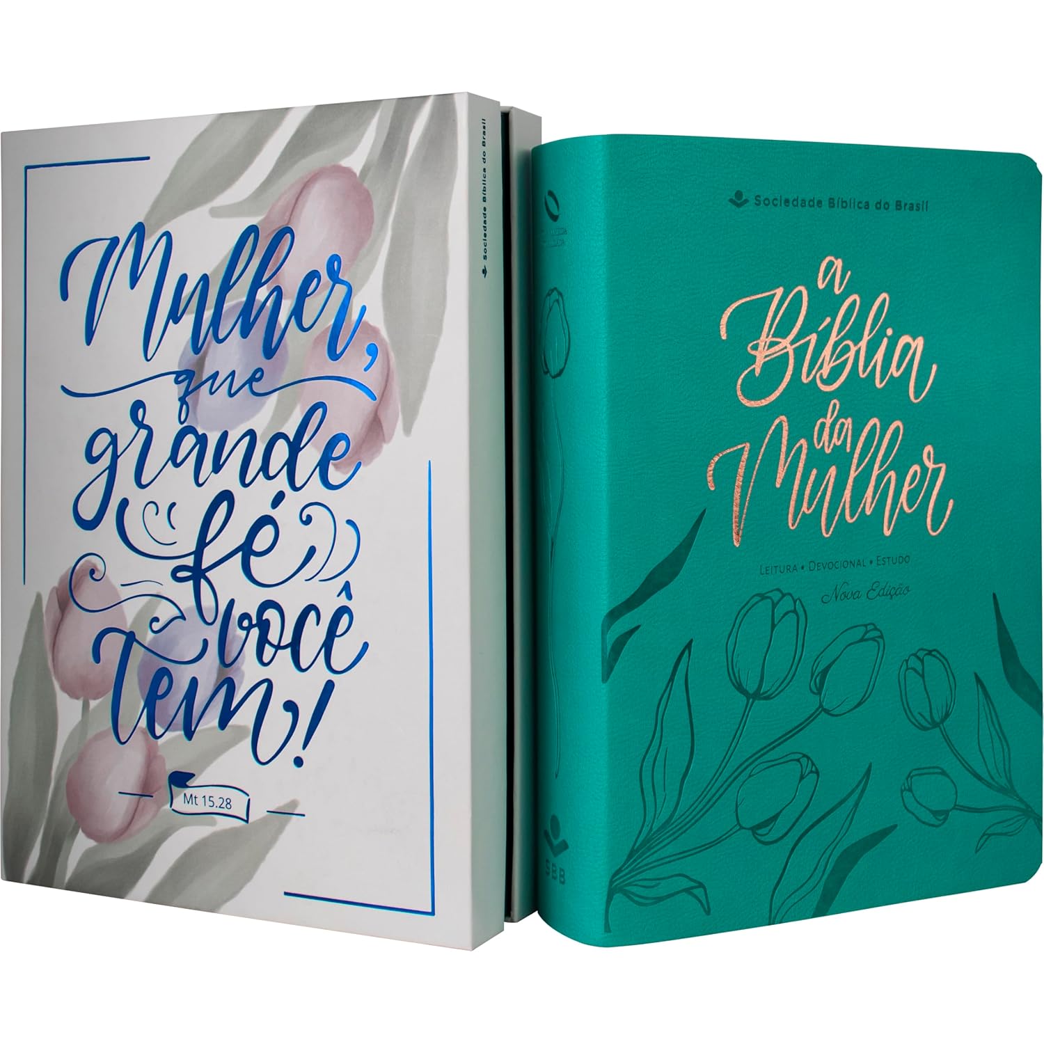 A Bíblia da Mulher NAA Nova Edição: Nova Almeida Atualizada (NAA) baixar o livro de graça