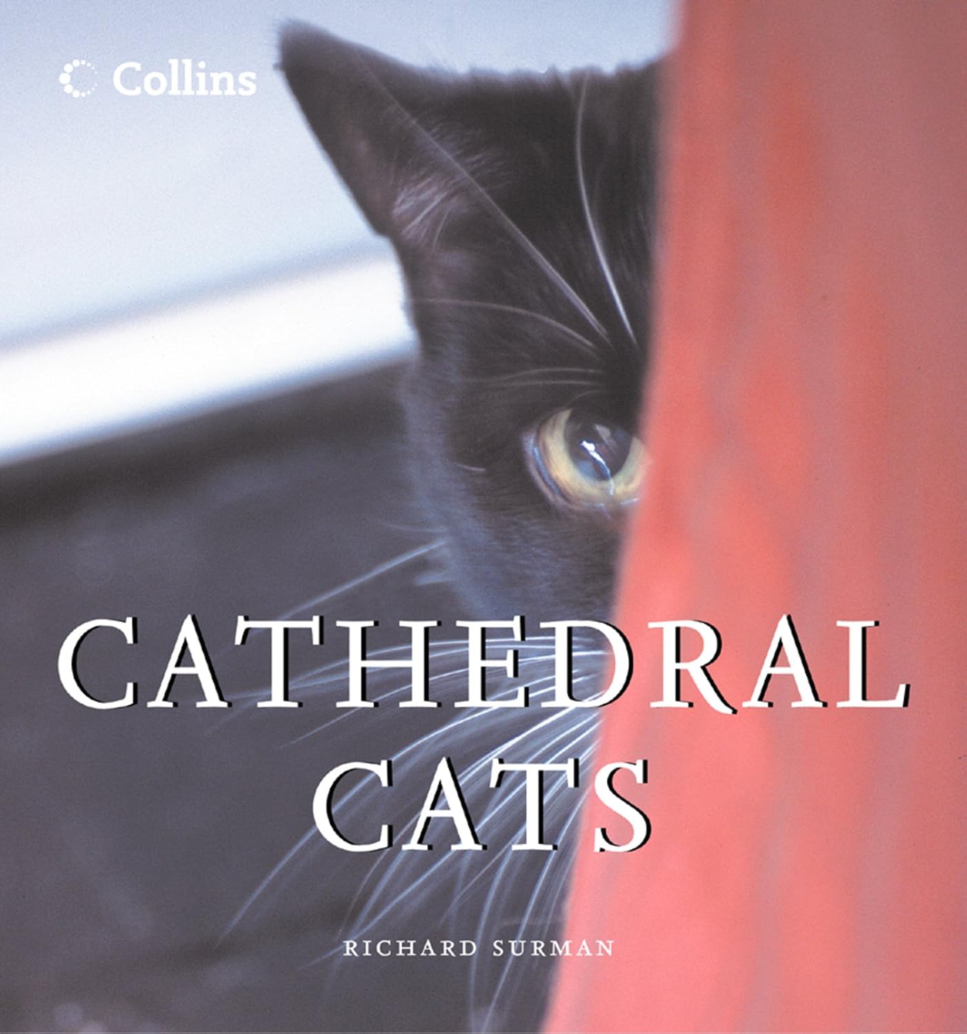 ler totalmente Cathedral Cats: A Delightful Non-Fiction Book of True Stories About the Feline Inhabitants of Britain's Cathedrals (English Edition)