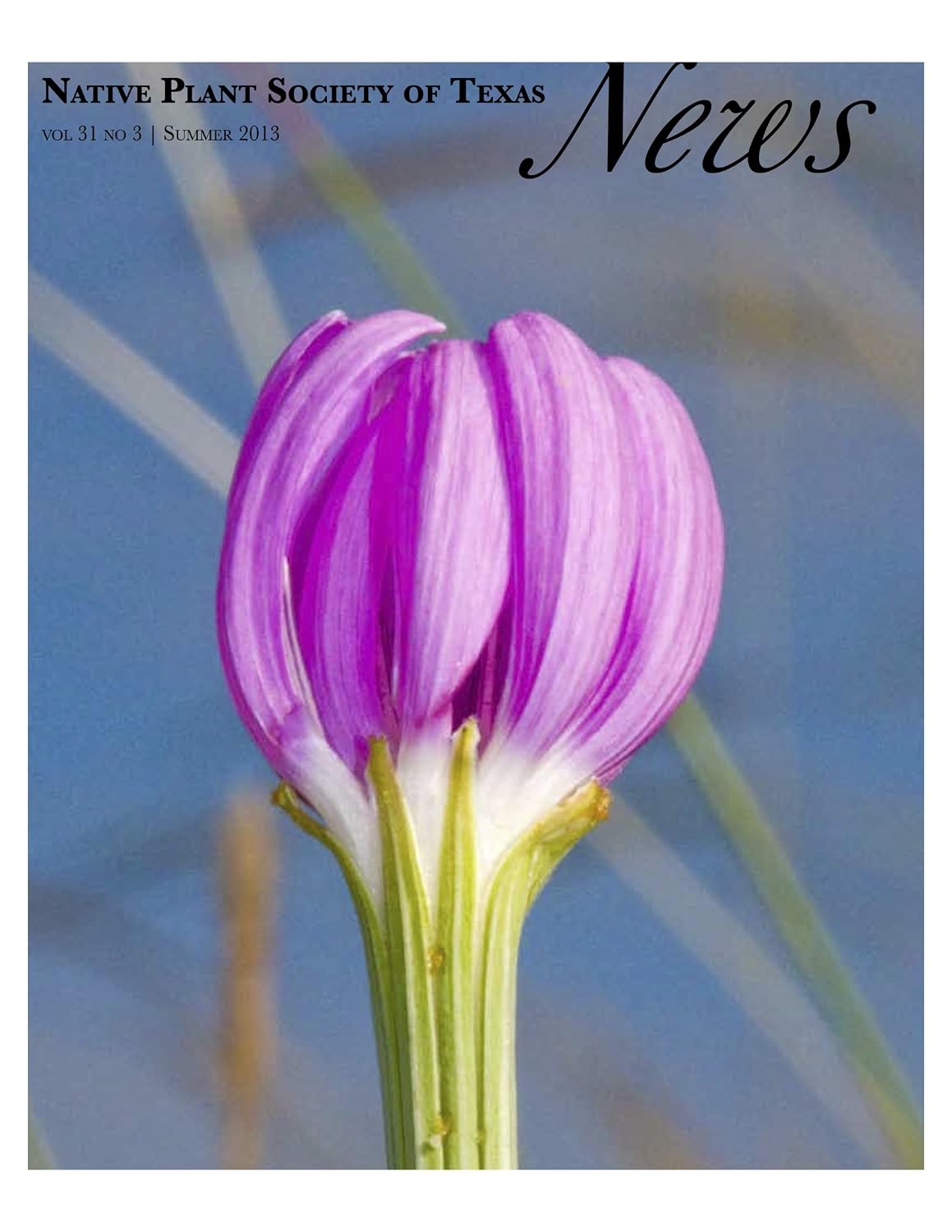 Summer 2013 - Native Plant Society of Texas News (English Edition) baixar livro de graça