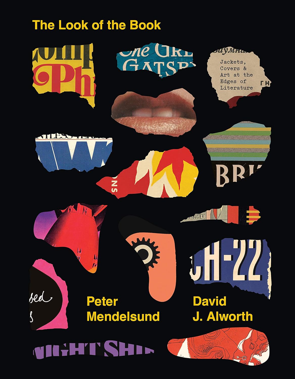 ler totalmente The Look of the Book: Jackets, Covers, and Art at the Edges of Literature (English Edition)