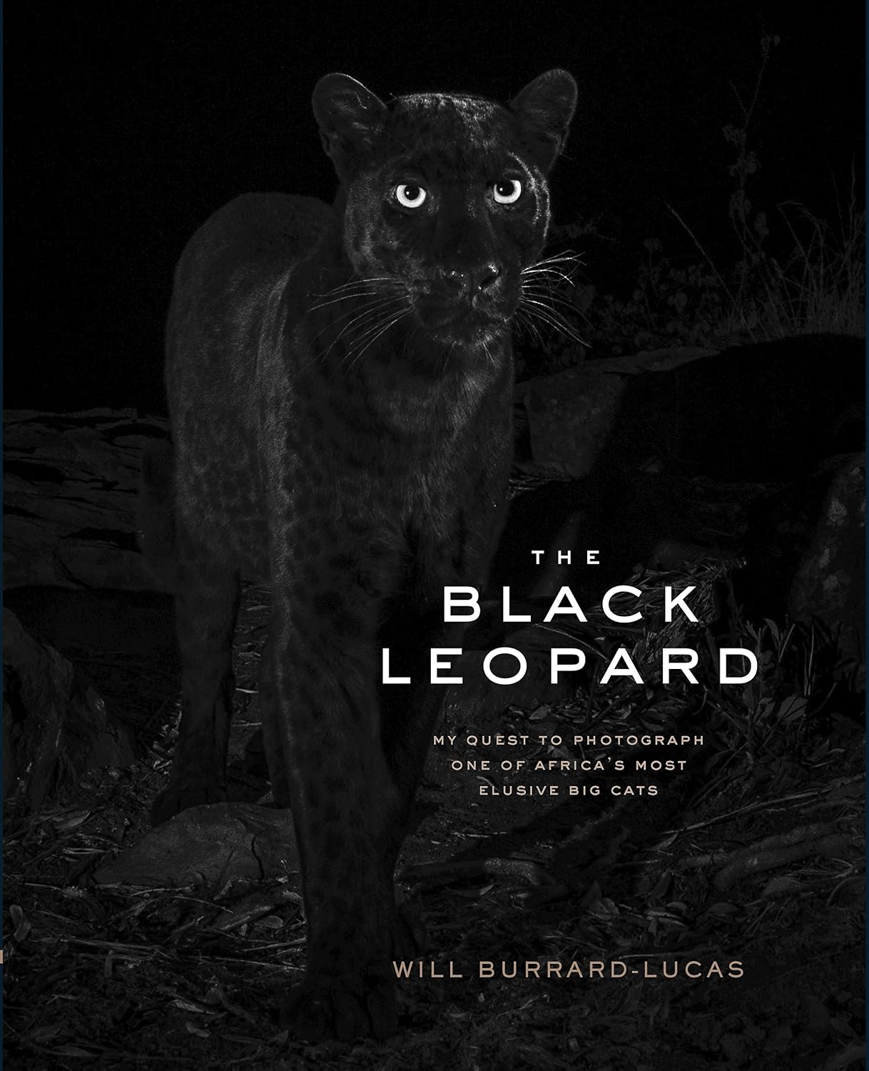 The Black Leopard: My Quest to Photograph One of Africa's Most Elusive Big Cats baixar o livro de graça