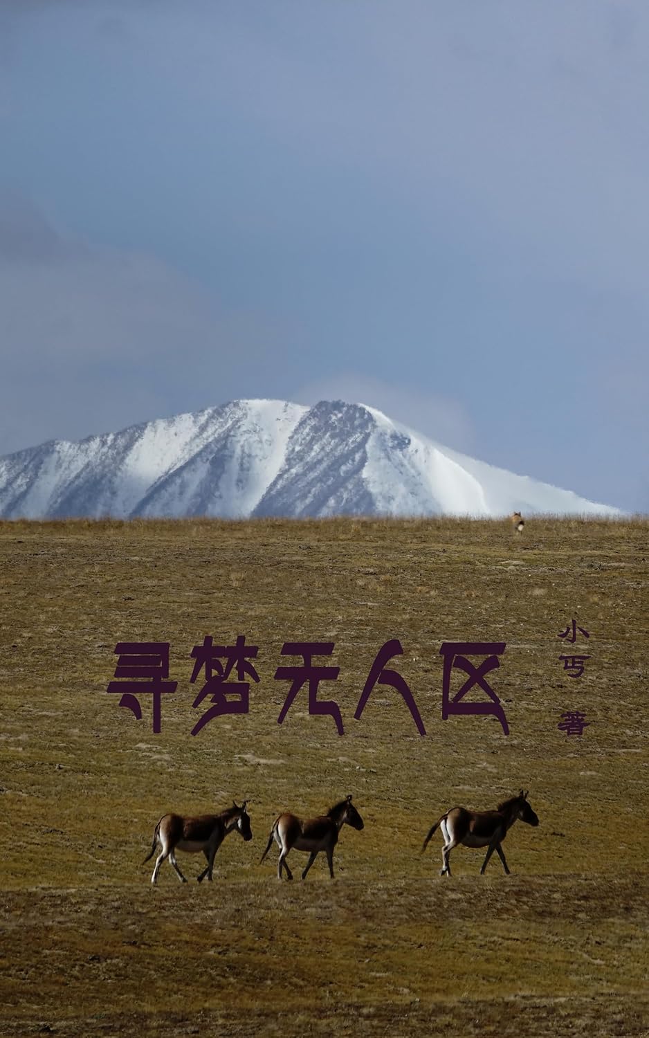 capítulo por capítulo baixar 寻梦无人区: 穿越世界屋脊 (Beyond the Map Book 5) (English Edition)