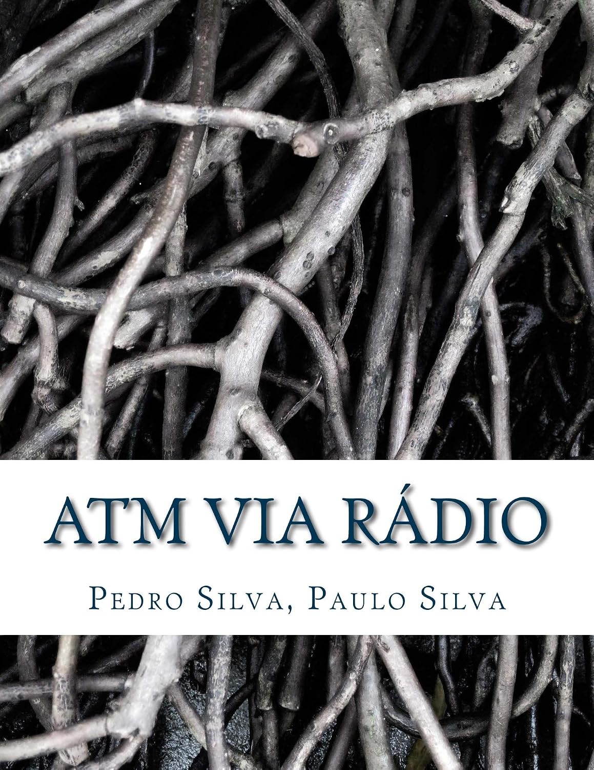 ATM via Rádio: Wireless Asynchronous Transfer Mode (ATM) Networking baixar livro de graça