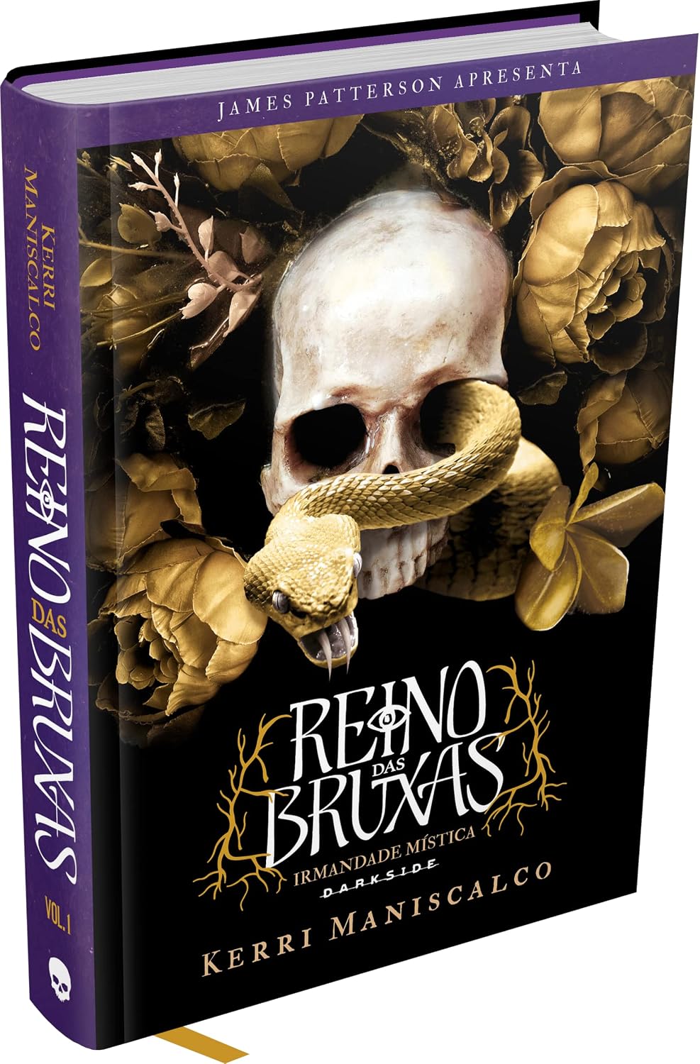 Reino das Bruxas: Irmandade Mística baixar o livro de graça
