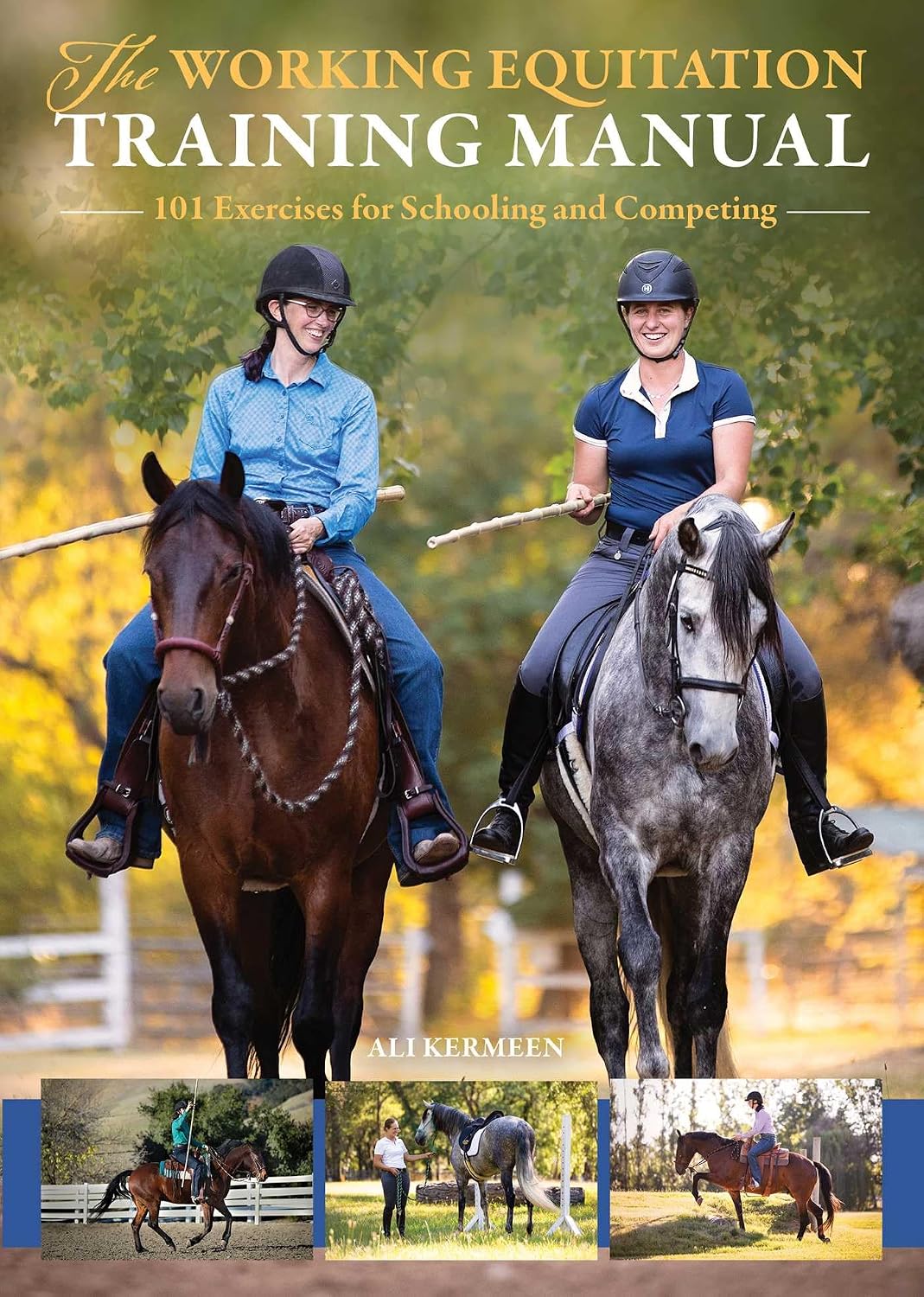 The Working Equitation Training Manual: 101 Exercises for Schooling and Competing baixar livro de graça