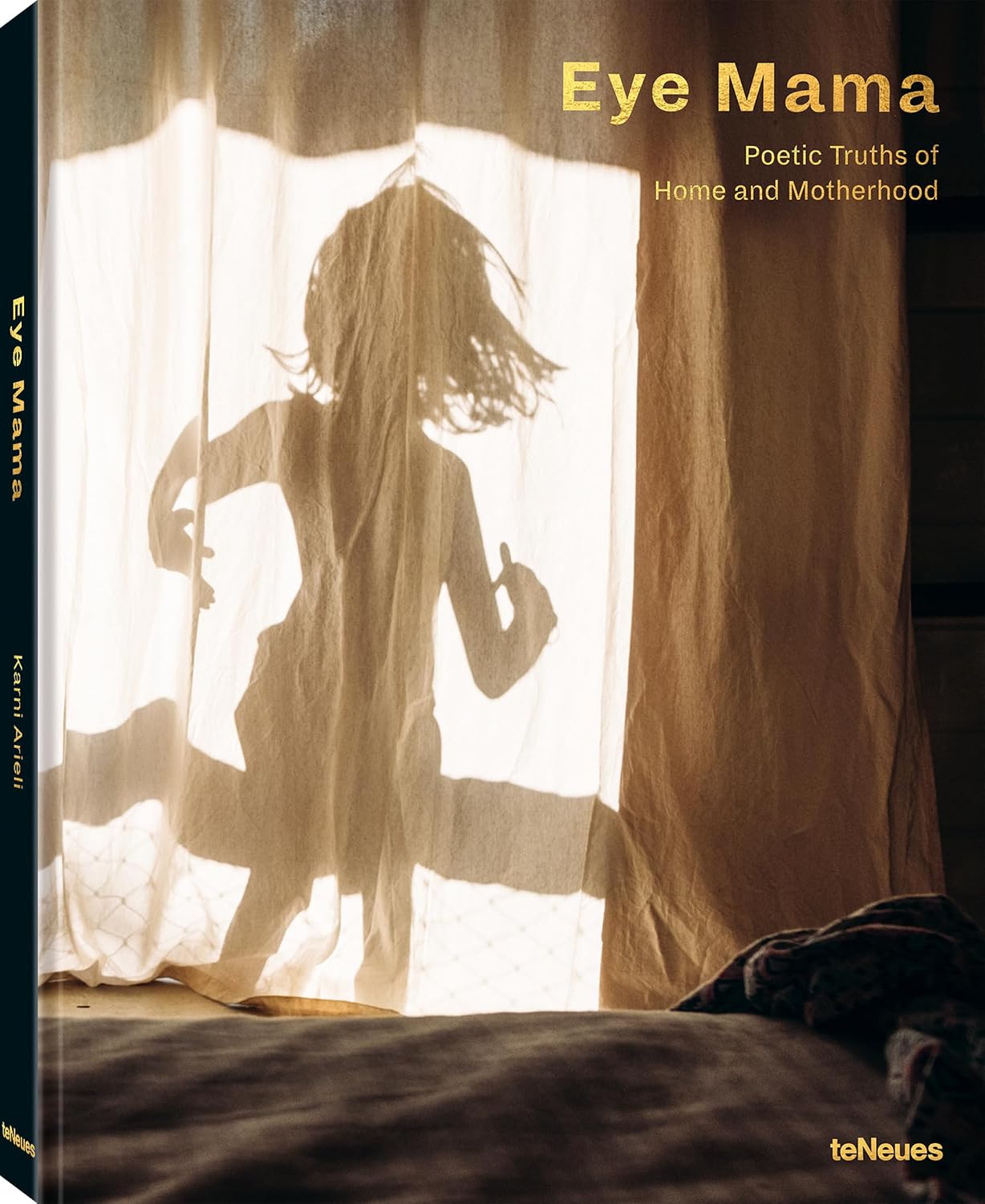 ler totalmente Eye Mama: Poetic Truths of Home and Motherhood