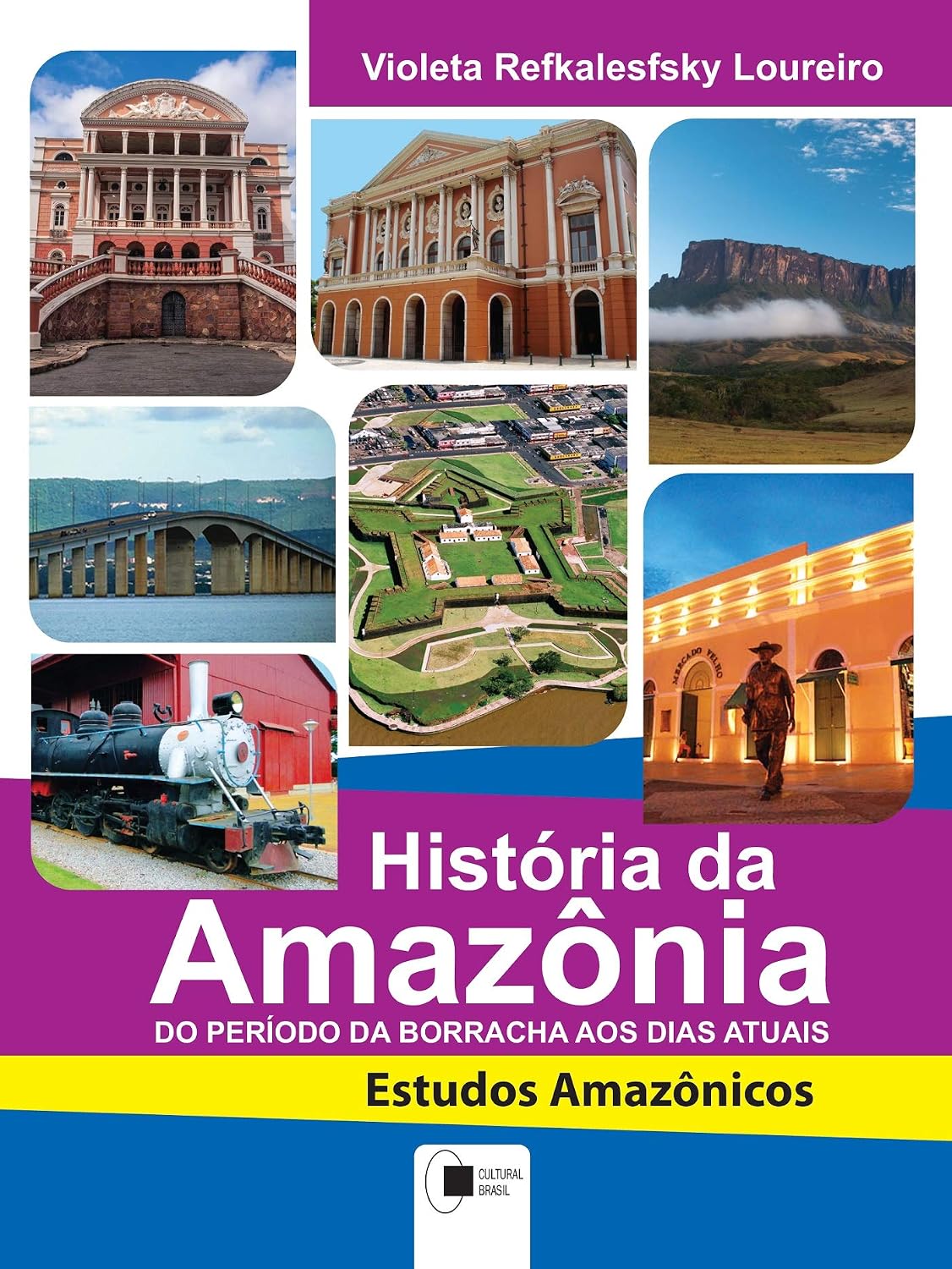 História da Amazônia: do período da borracha aos dias atuais (ESTUDOS AMAZÔNICOS) baixar livro de graça