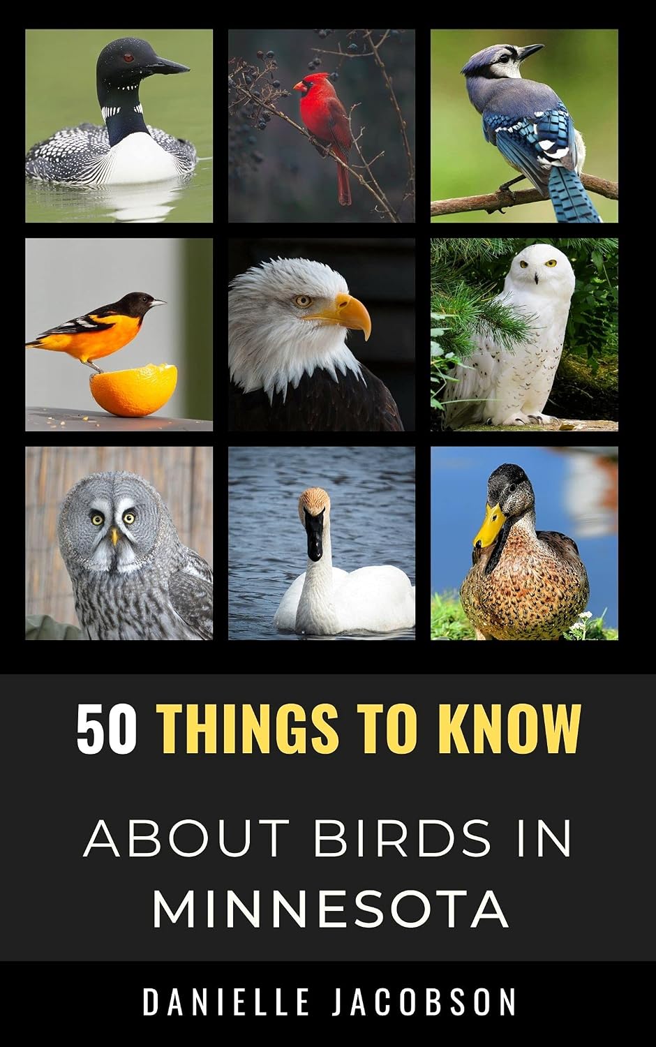 50 Things to Know About Birds in Minnesota: Birdwatching Guide, Bird Identification, Local Species, Nature Facts, Backyard Birds, & Wildlife (50 Things... and regional bird books) (English Edition) baixar o livro de graça