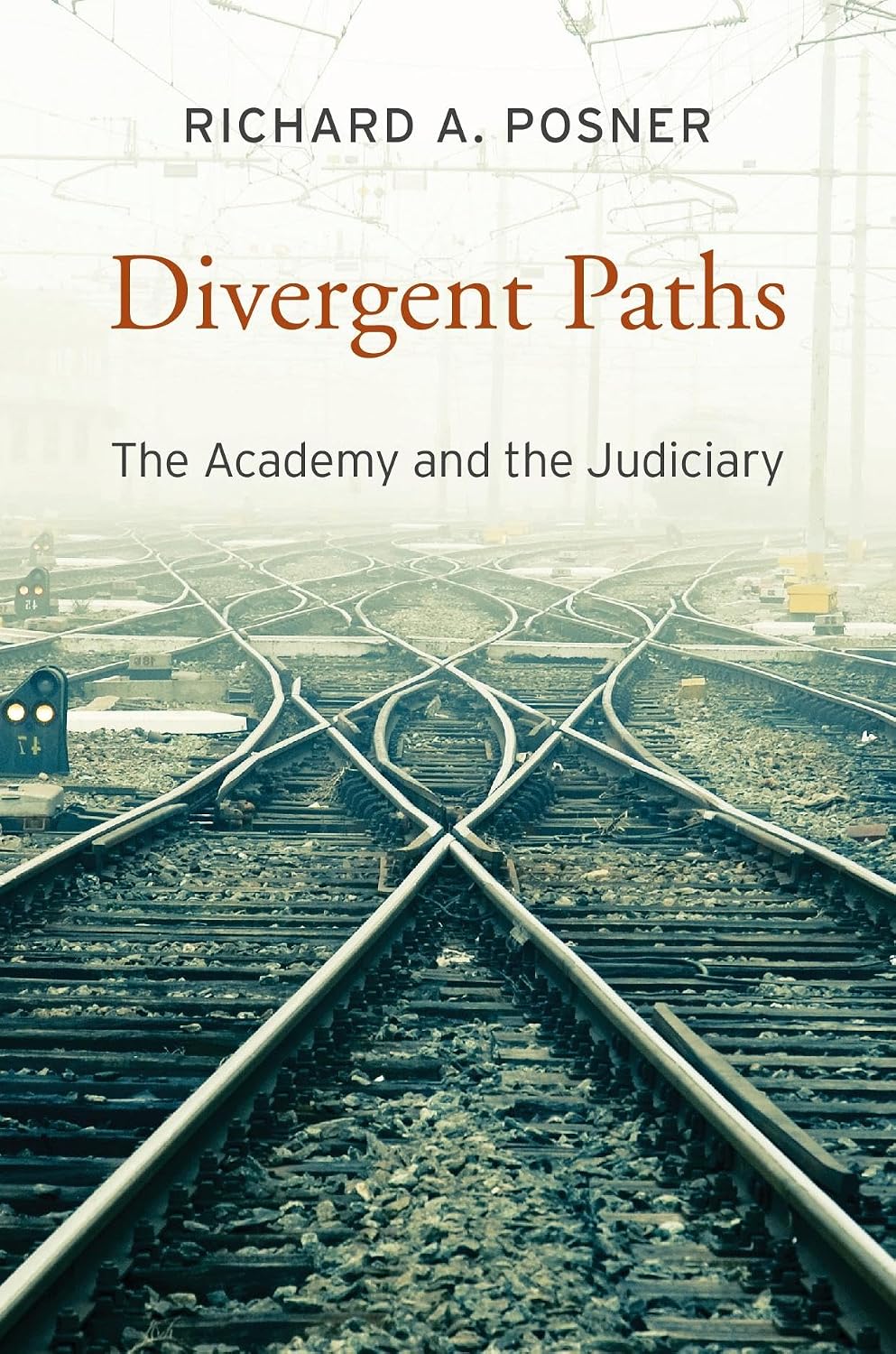 Divergent Paths: The Academy and the Judiciary (English Edition) baixar livro de graça