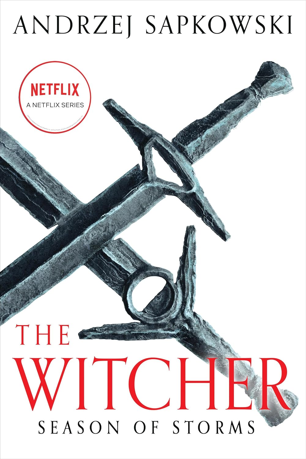 ler totalmente Season of Storms (The Witcher Book 8) (English Edition)