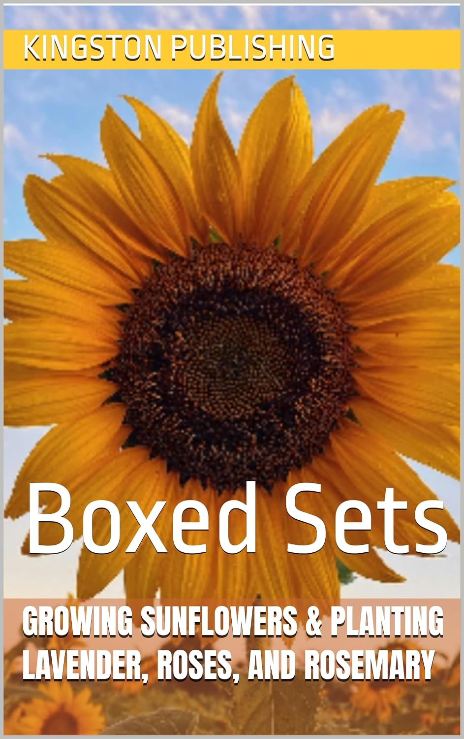 Growing Lively Sunflowers & Planting Lavender, Roses, and Rosemary: Boxed Sets (Growing Potted Flowers) (English Edition) baixar o livro de graça