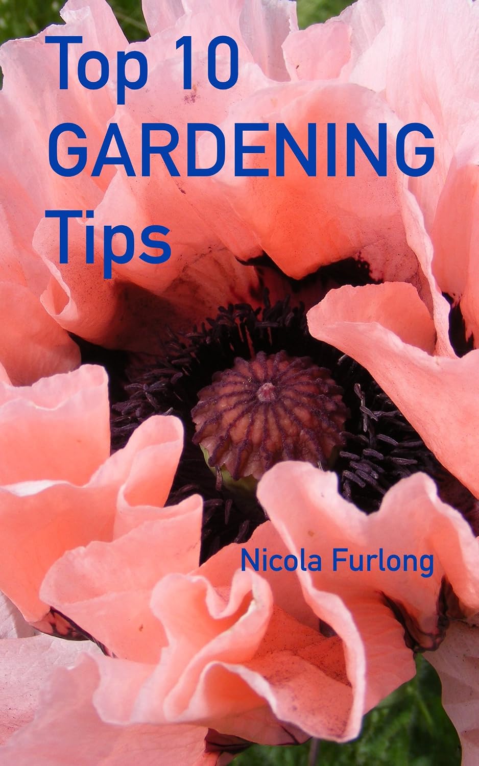 ler totalmente Top Ten Gardening Tips: The How-To Perennial Gardening Guide for Everyone (English Edition)